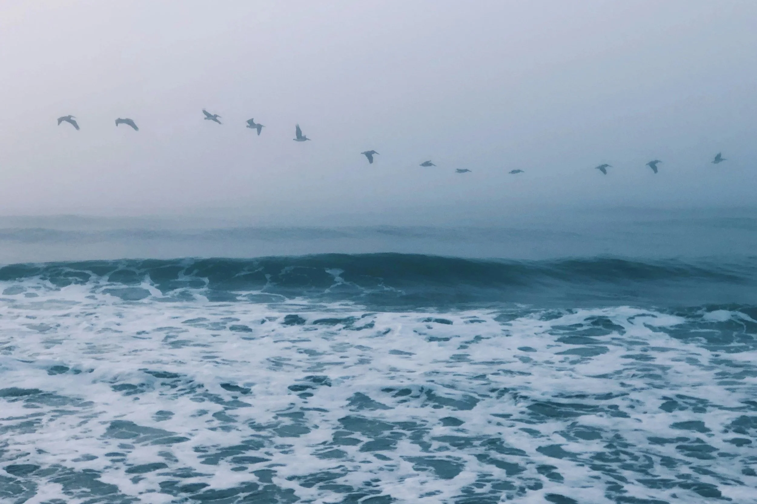 A photograph of the ocean on a cloudy way. Small waves are arriving at the shoreline. A line of pelicans is flying above the horizon.