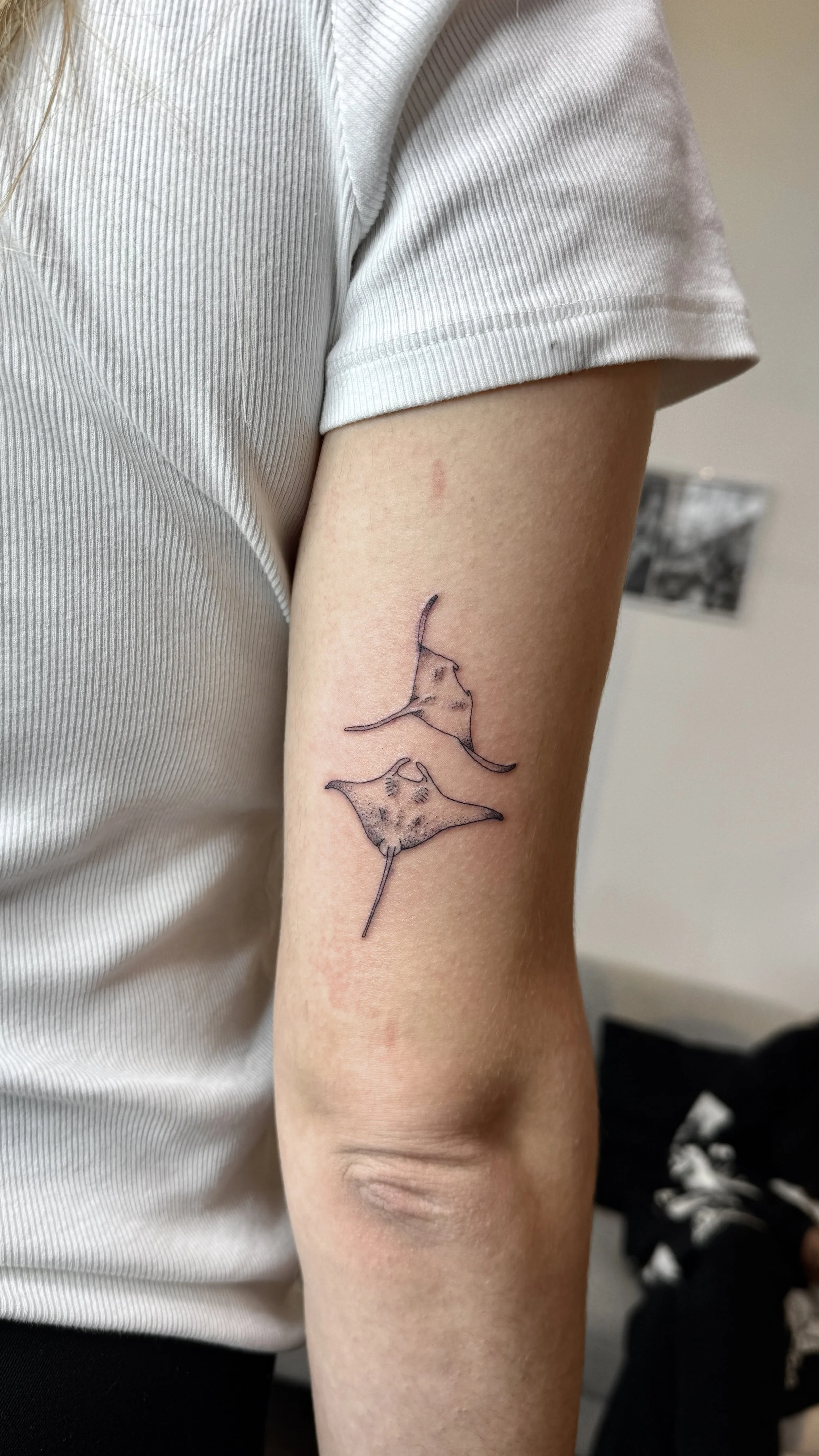 Tattoo von zwei möwenartigen Vögeln auf dem Oberarm einer Person