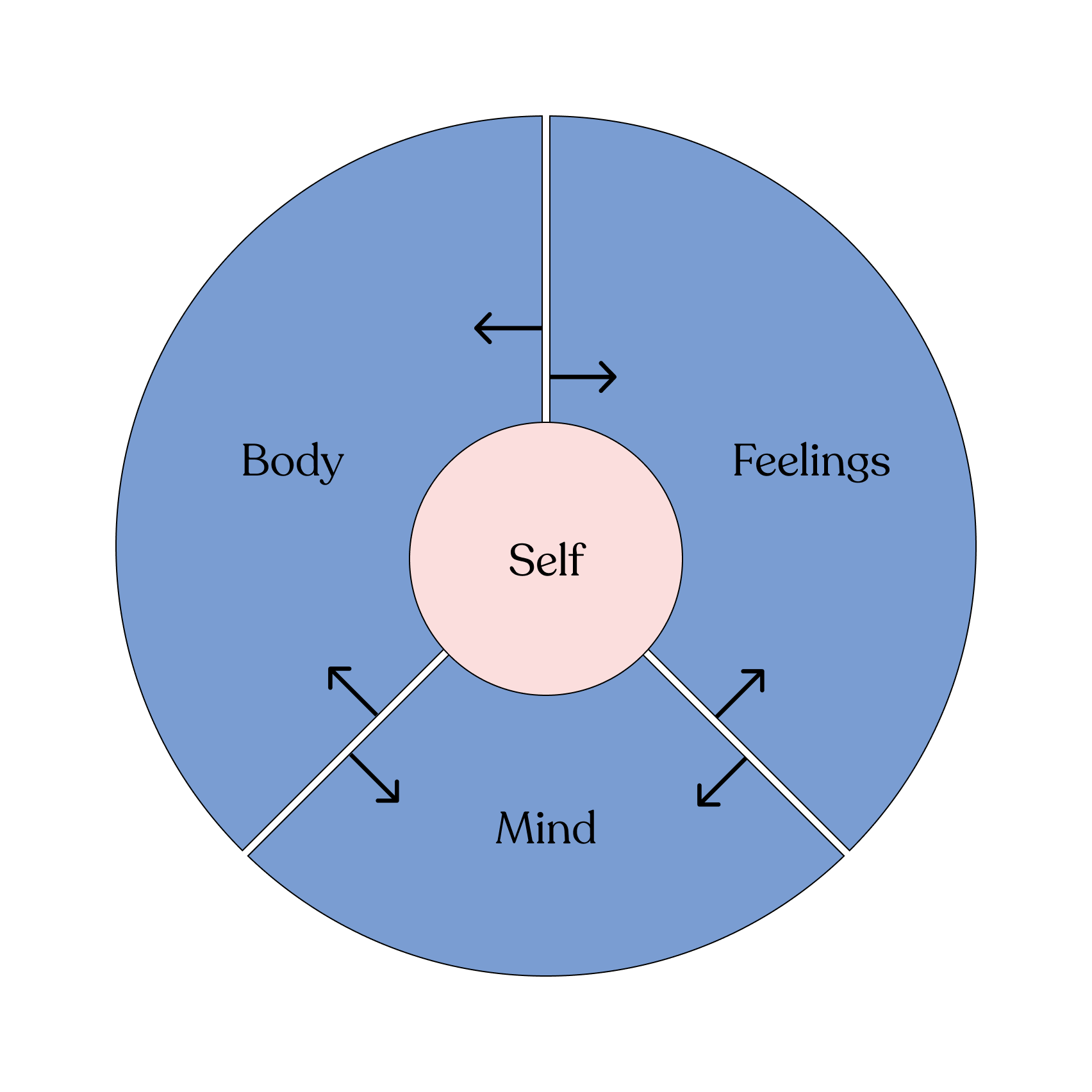 Selfology: A new Wellbeing curriculum for the UK education system