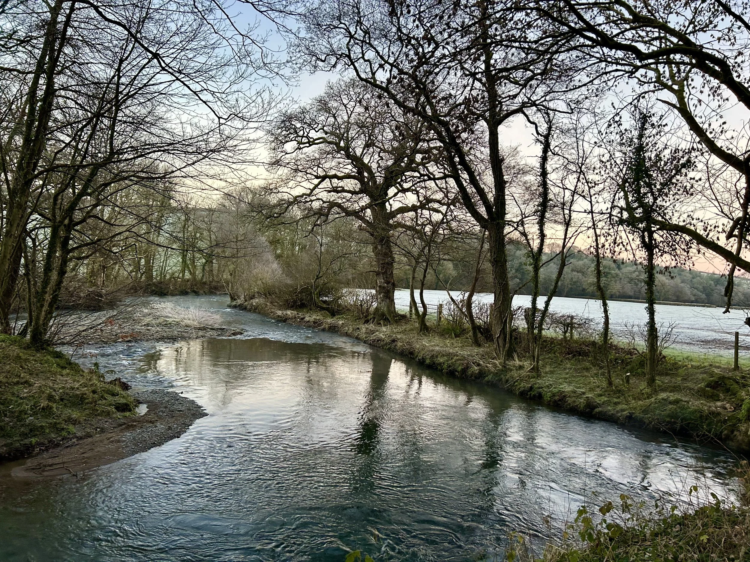 A peaceful river scene with trees along the banks, under a partly cloudy sky.