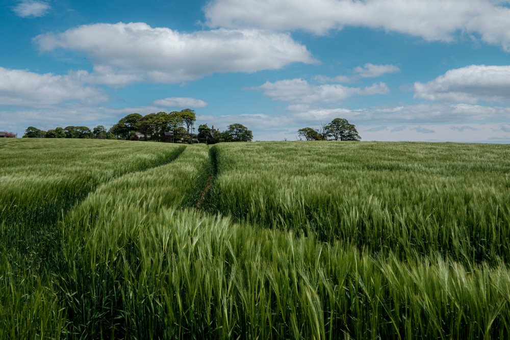 Just off the A19.jpg