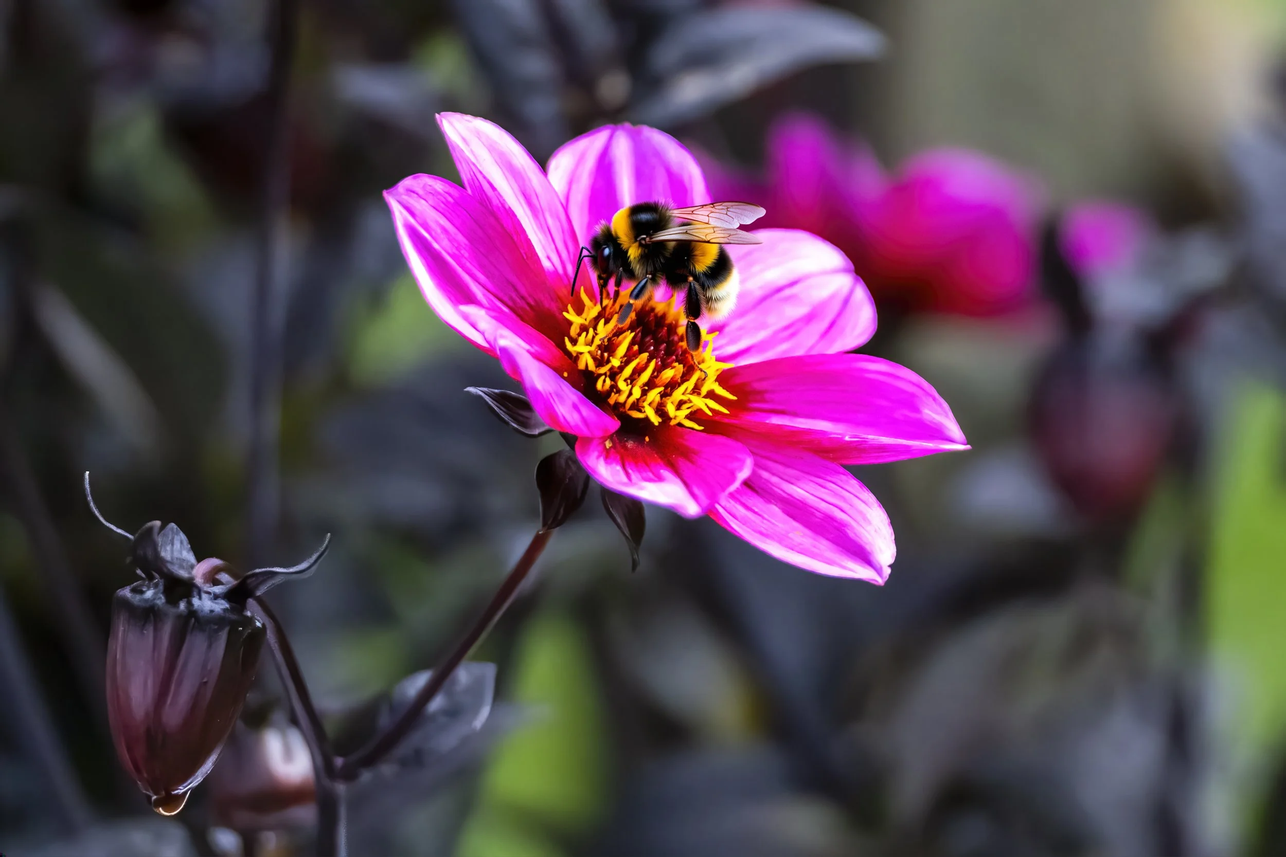 AI bee enhanced.jpg