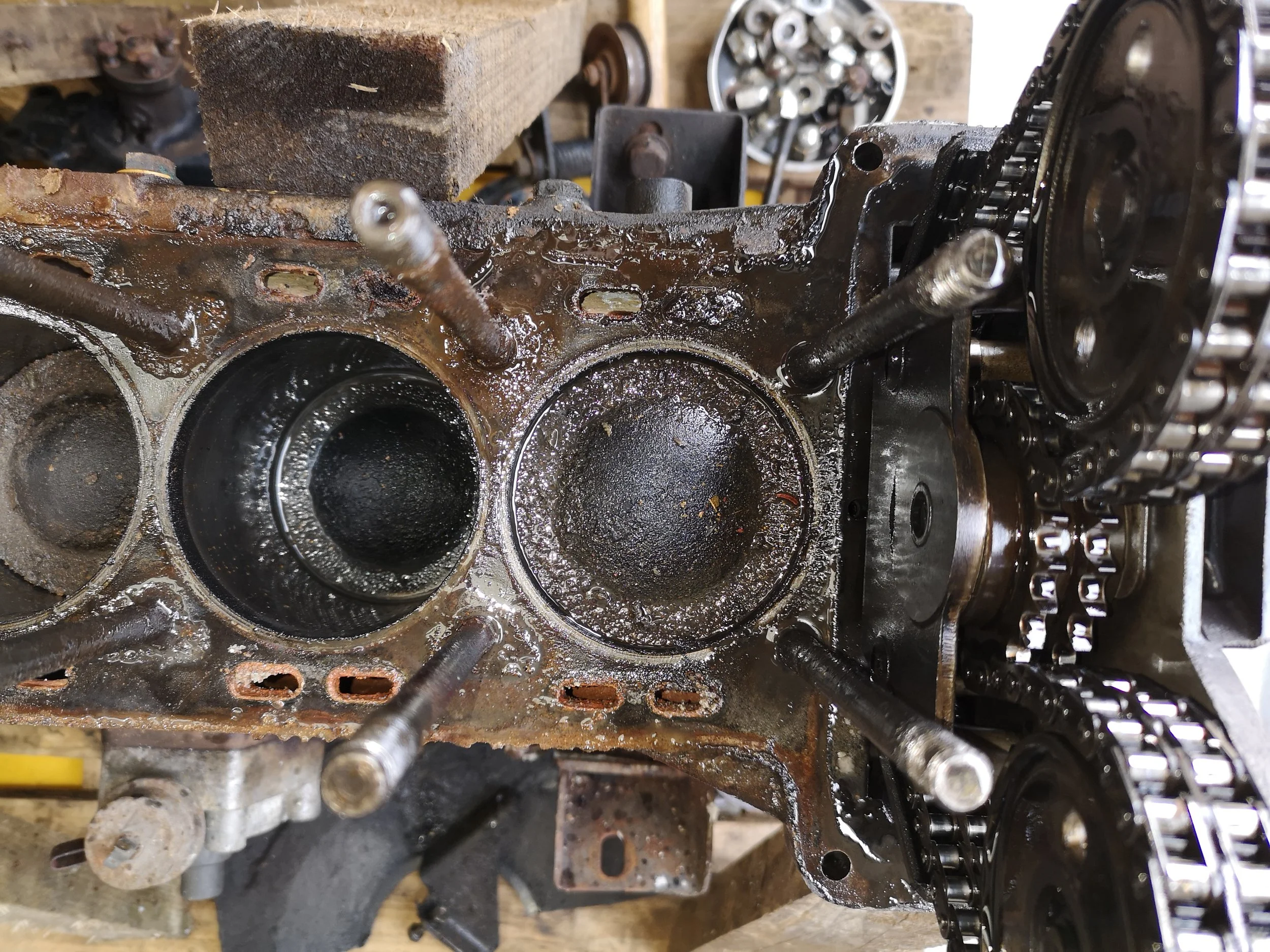 IMG_20230804_164753 1.jpg