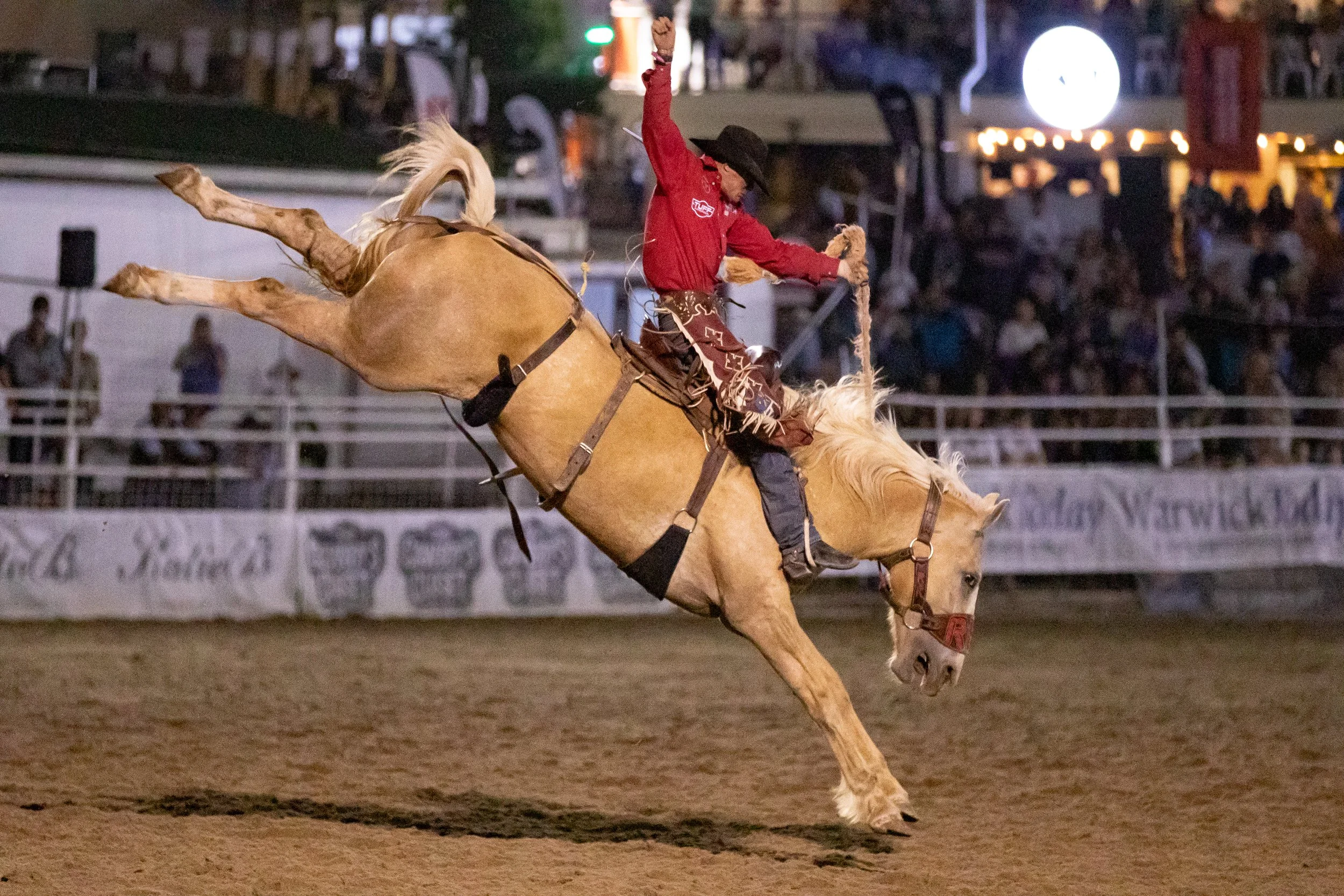 _63I7308InternationalBroncMatchWarwickAustralia2025_StationBuckjump_StormLahiffPhotogrspher.jpg