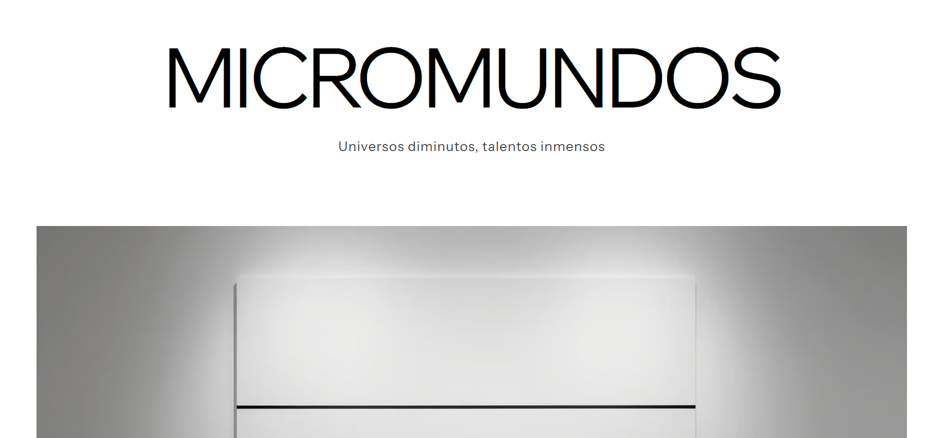 Micromundosmagazine