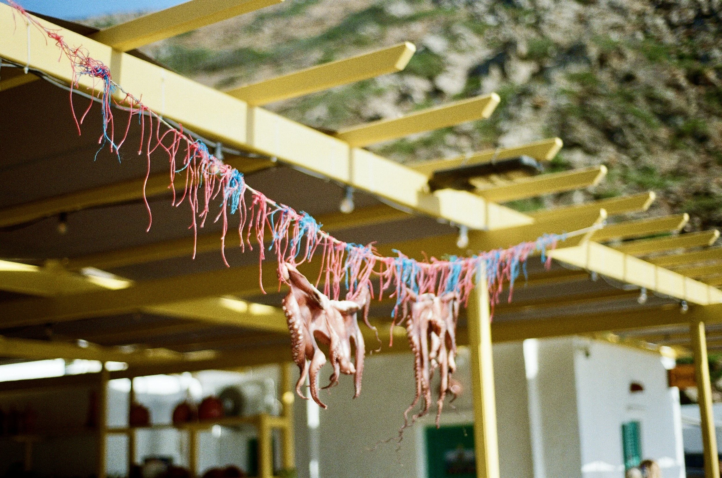 IMG_0547.JPG