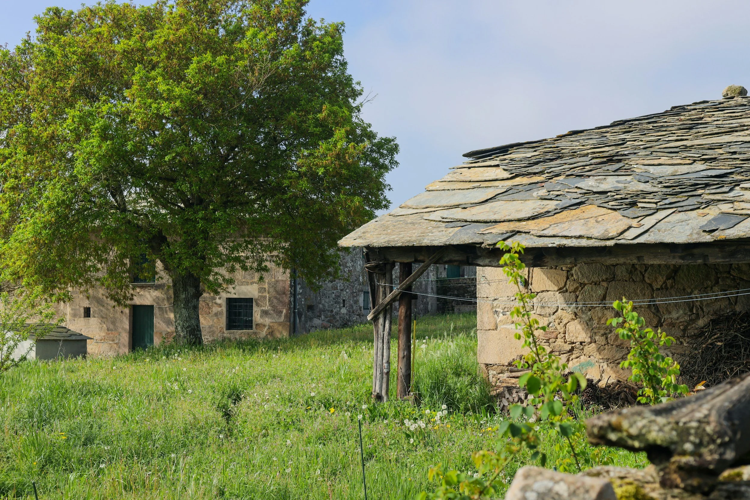 Vista de una casa con paredes de piedra y techo de pizarra, rodeada de césped verde y árboles, en un día soleado.