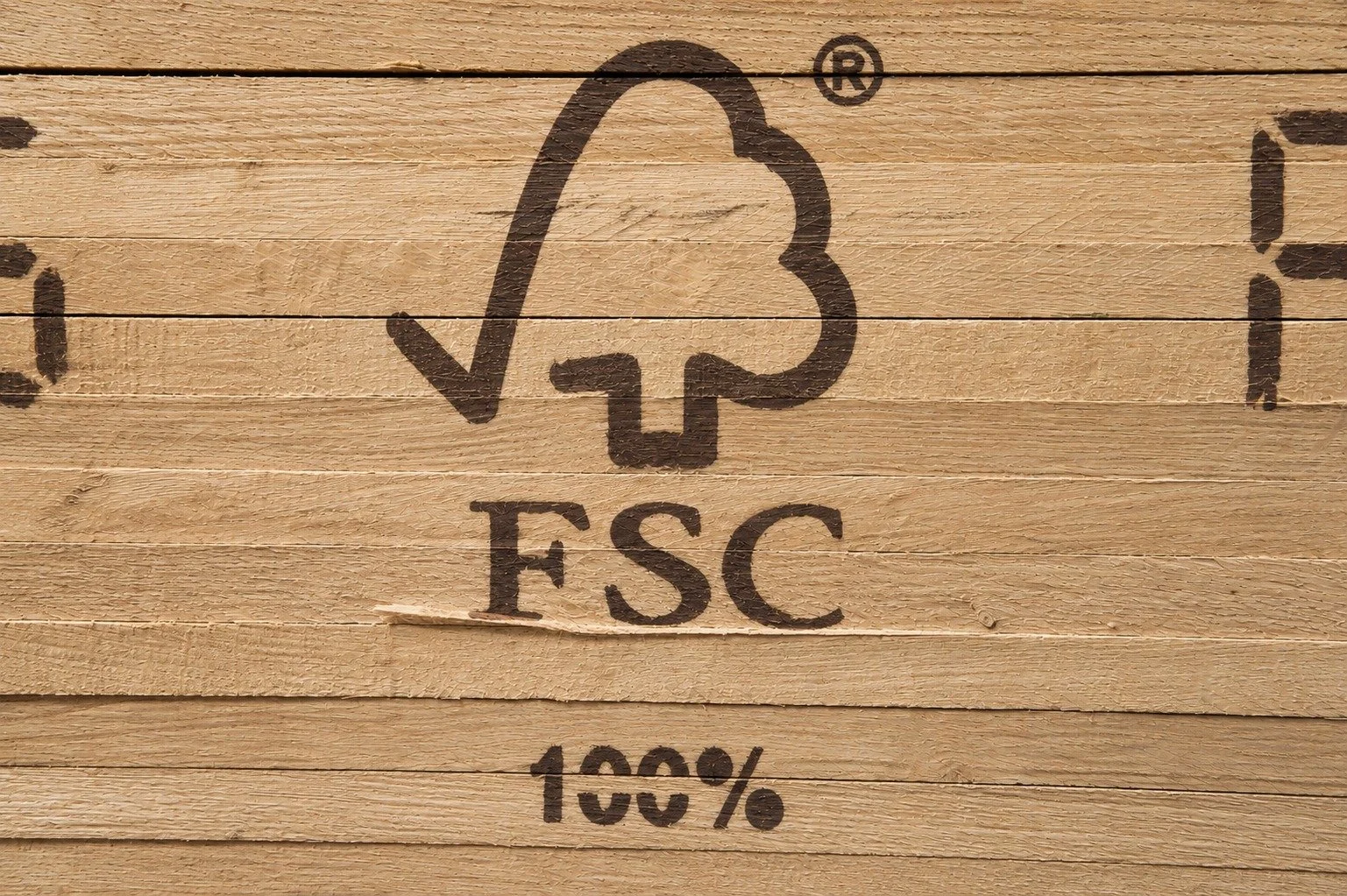 hardwood lumber timber wood stacks, wood planks, hardwood quality prime, FSC