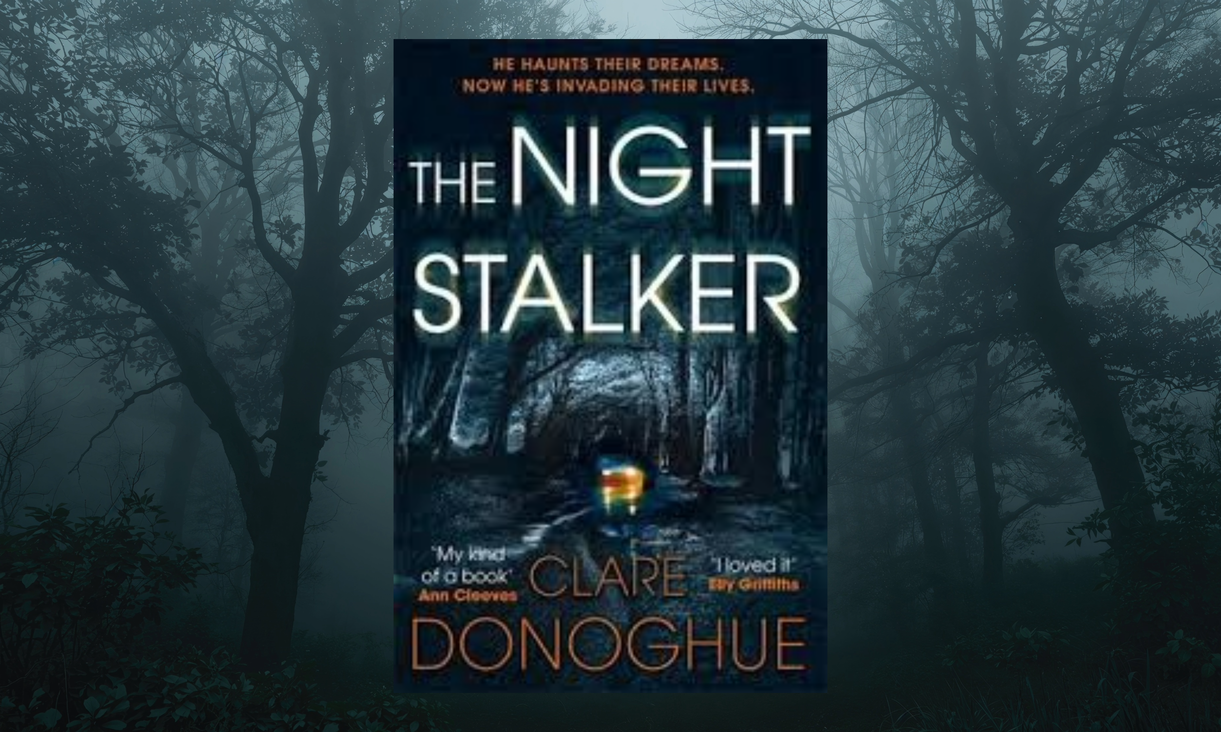 Clare Donoghue The Night Stalker, book cover