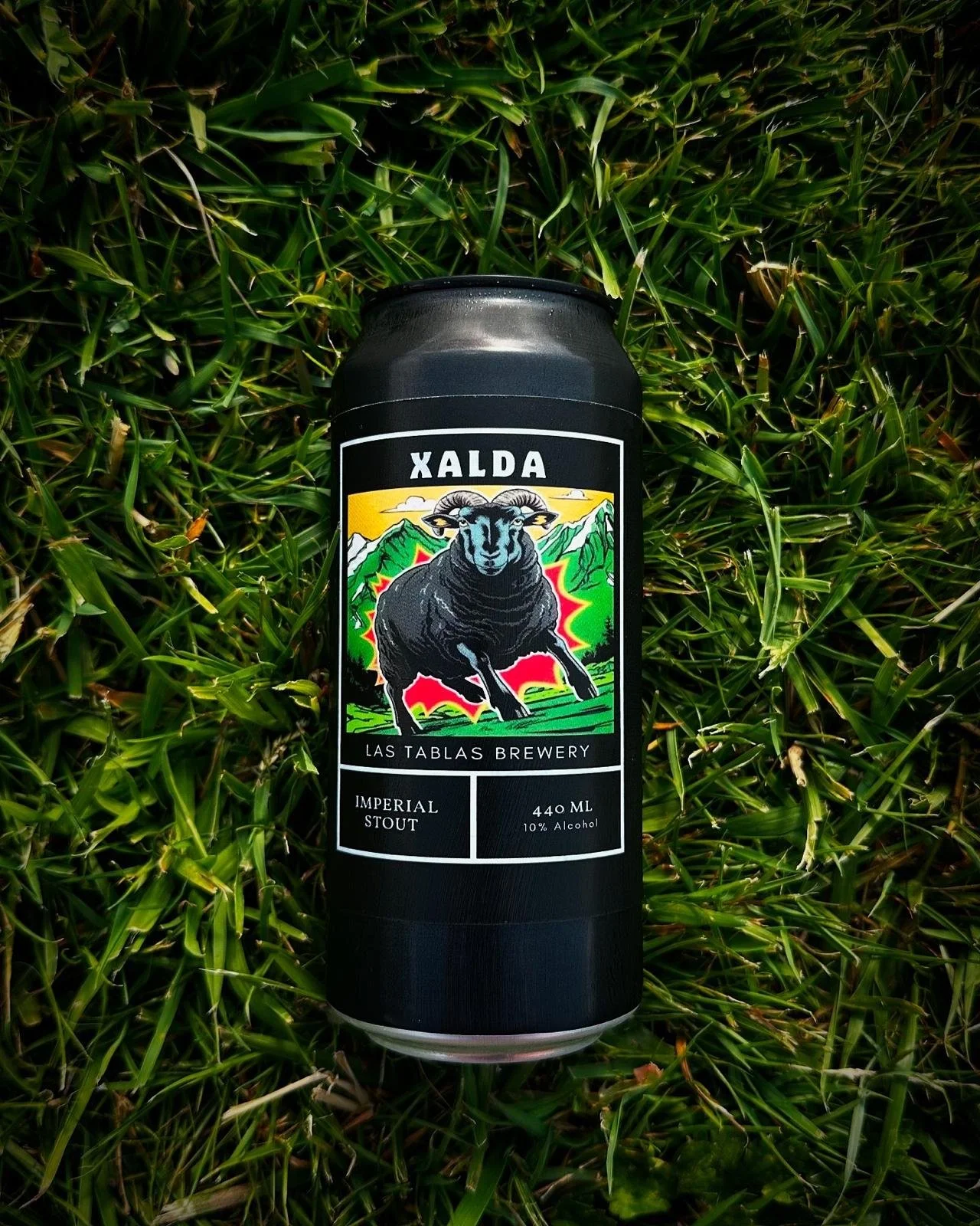 WhatsApp Image 2026-03-12 at 13.22.40.jpeg