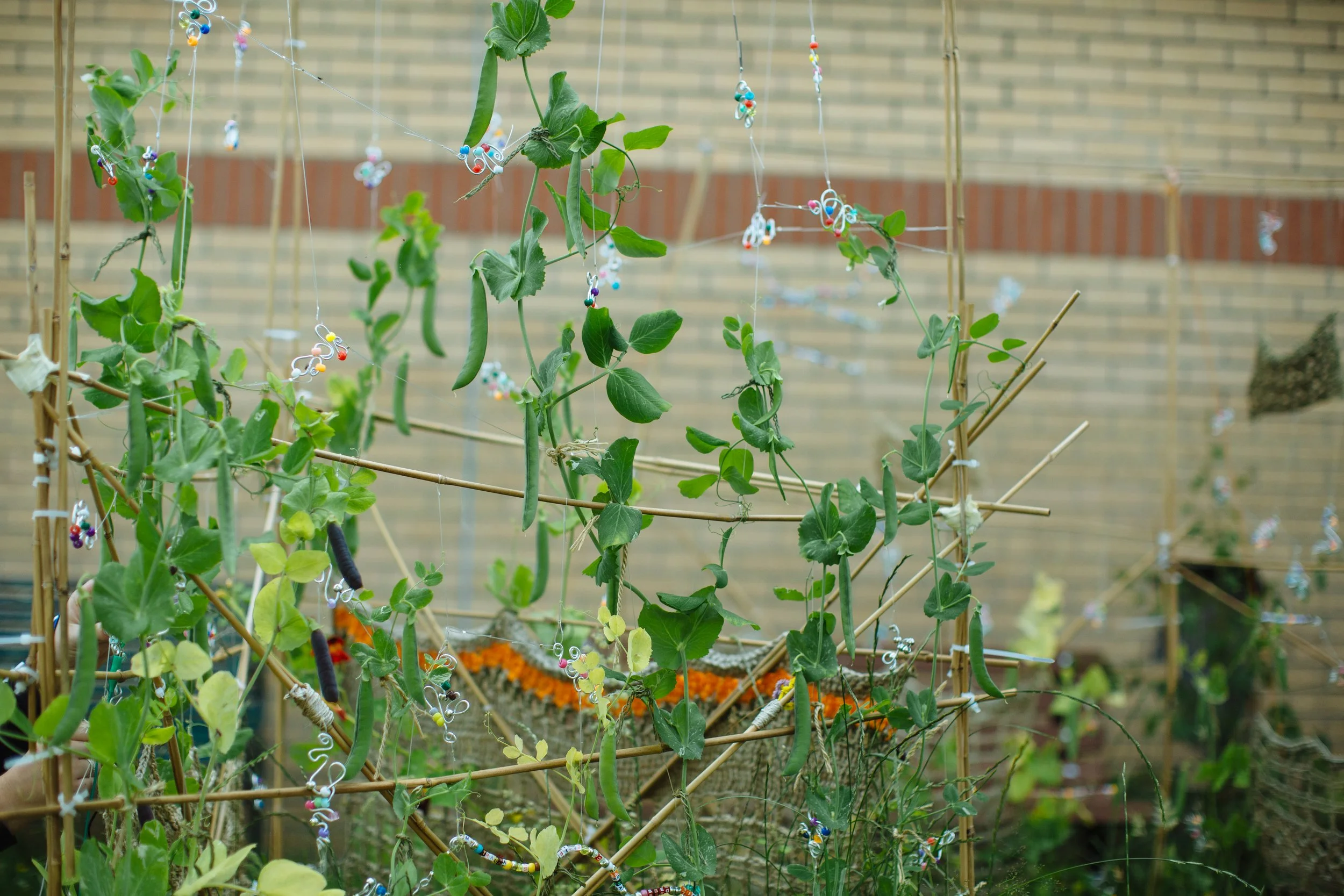 Grow, Sow, Reap_July_14.jpg