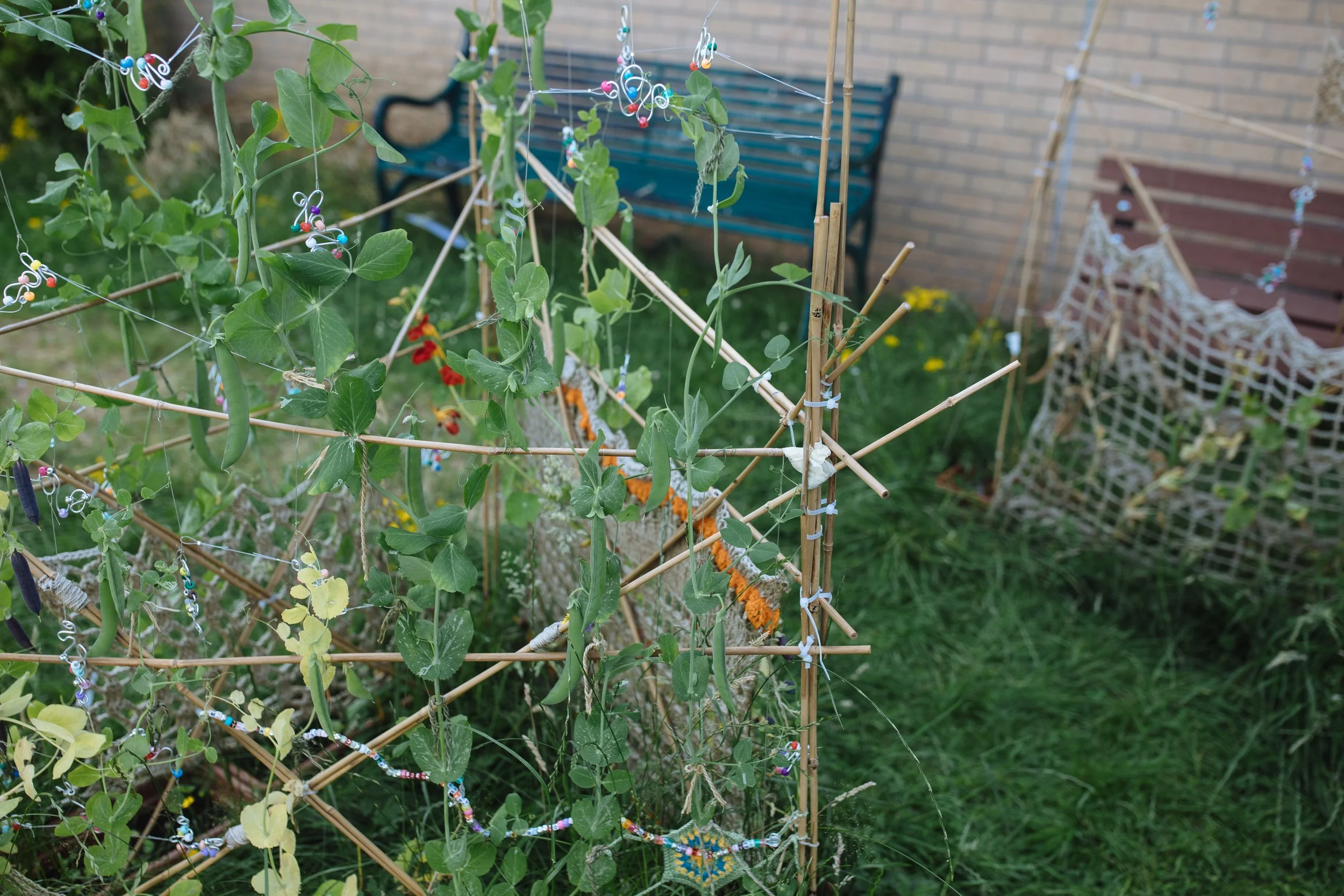 Grow, Sow, Reap_July_115.jpg