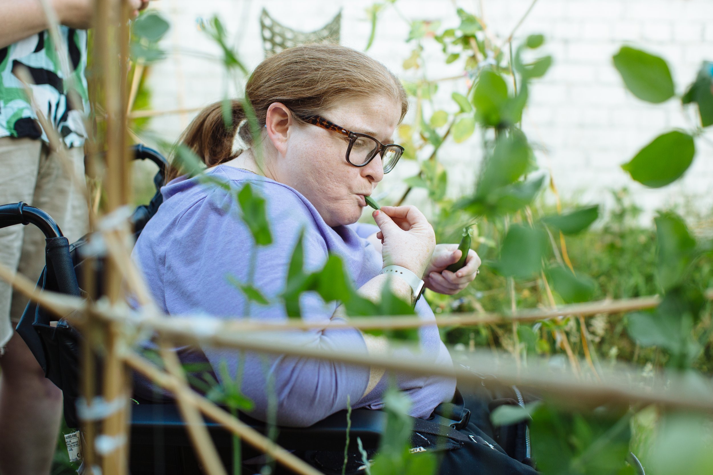 Grow, Sow, Reap_July_83.jpg