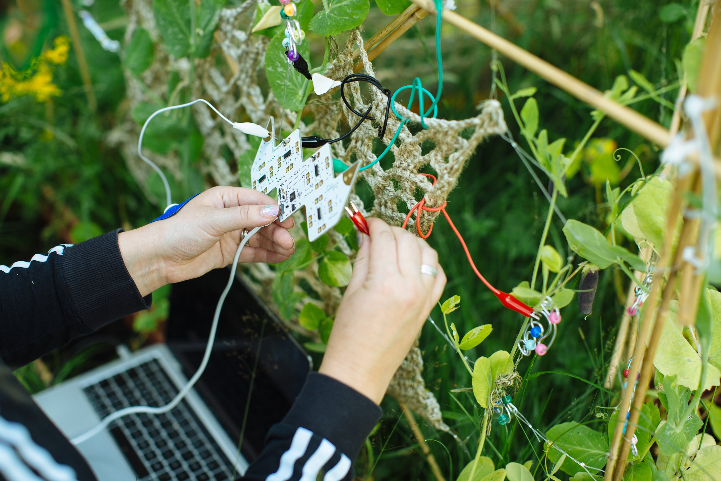 Grow, Sow, Reap_July_21.jpg