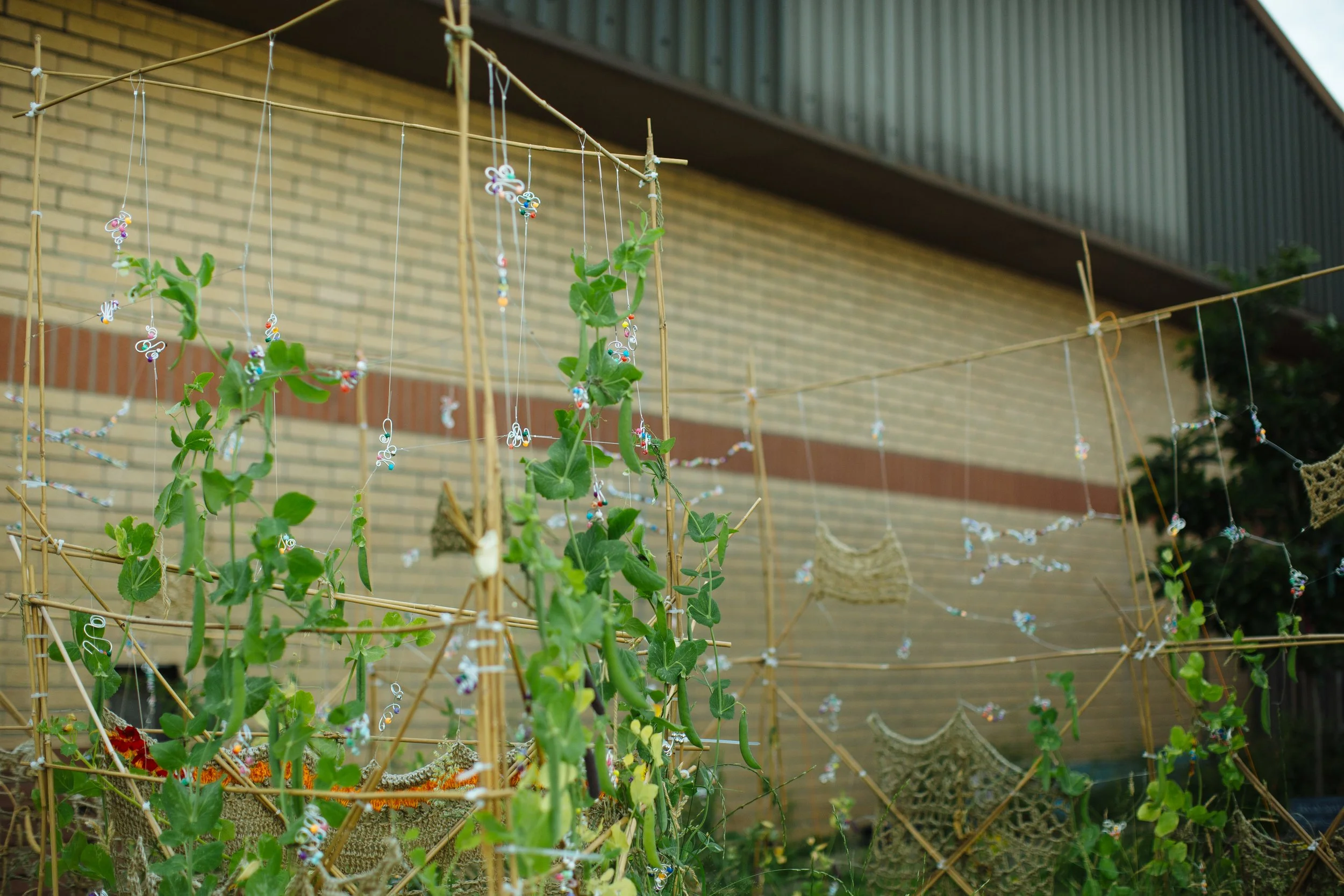 Grow, Sow, Reap_July_9.jpg