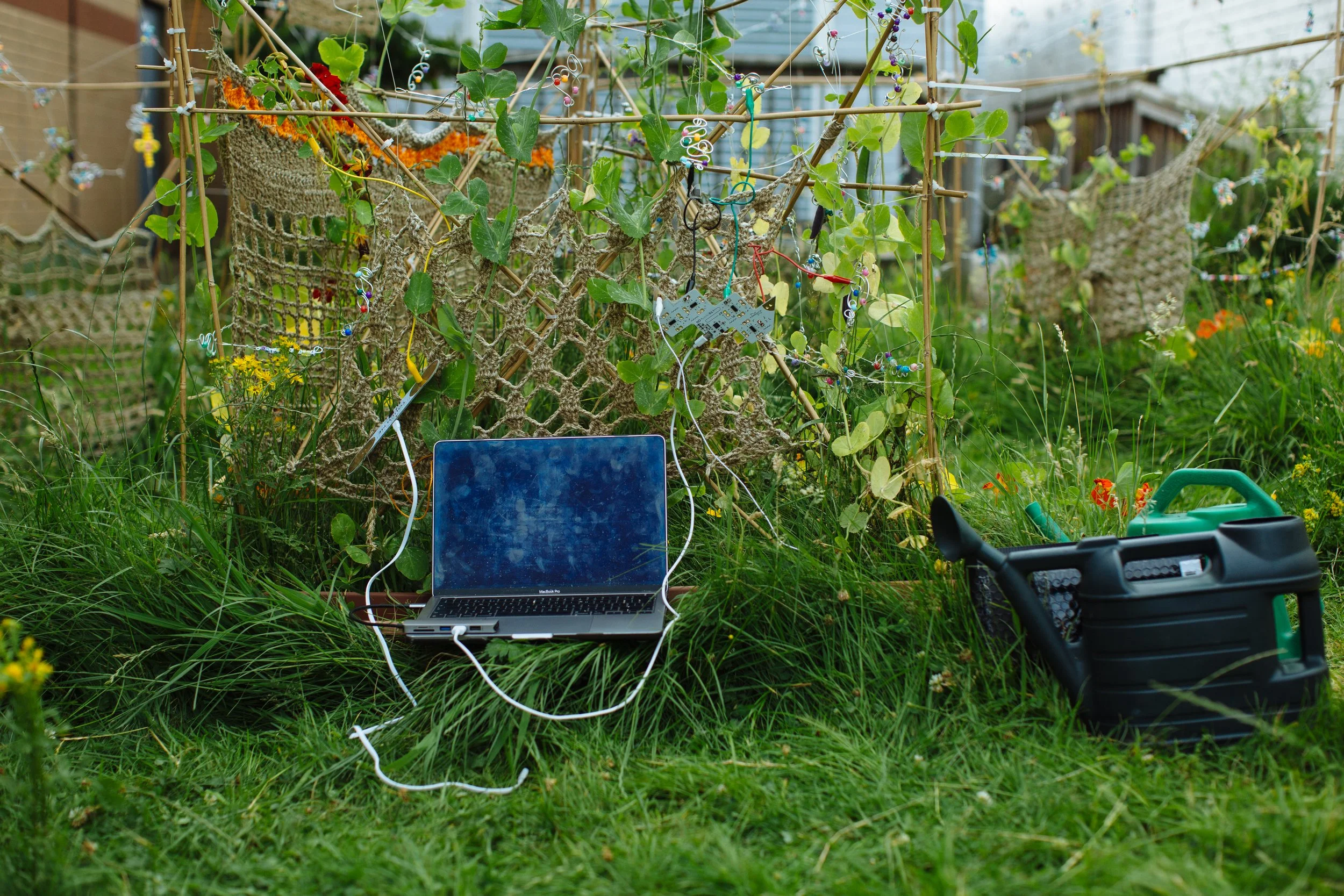 Grow, Sow, Reap_July_114.jpg