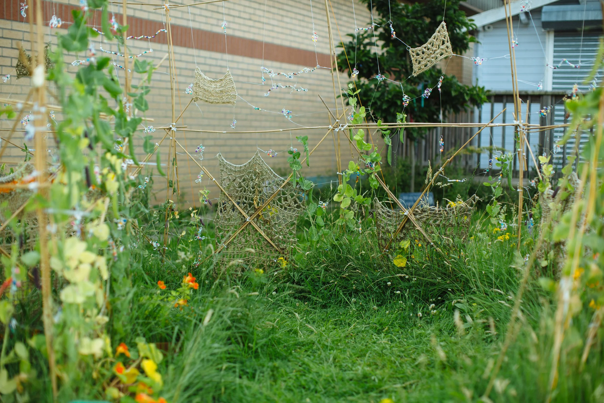 Grow, Sow, Reap_July_8.jpg