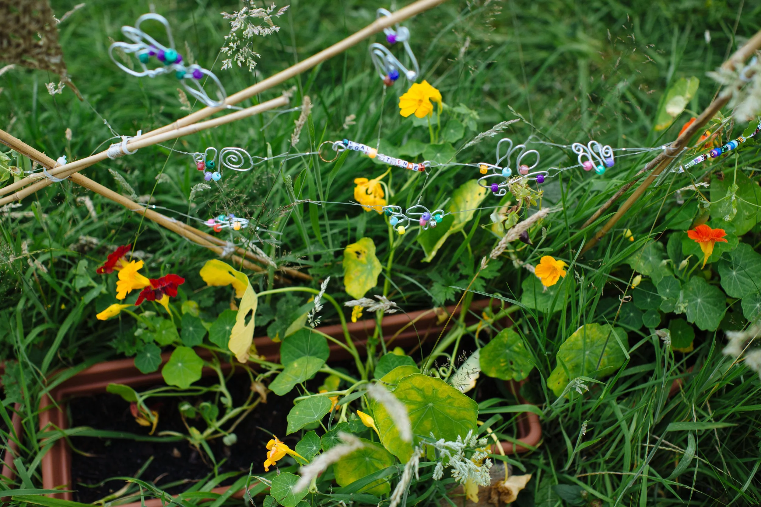 Grow, Sow, Reap_July_99.jpg