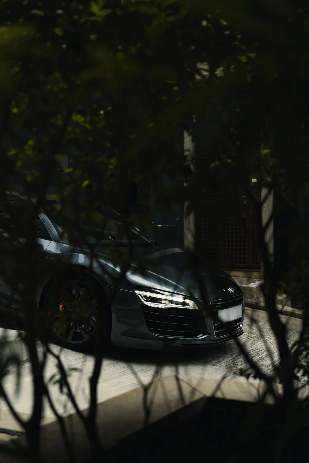 ISP04040.jpg