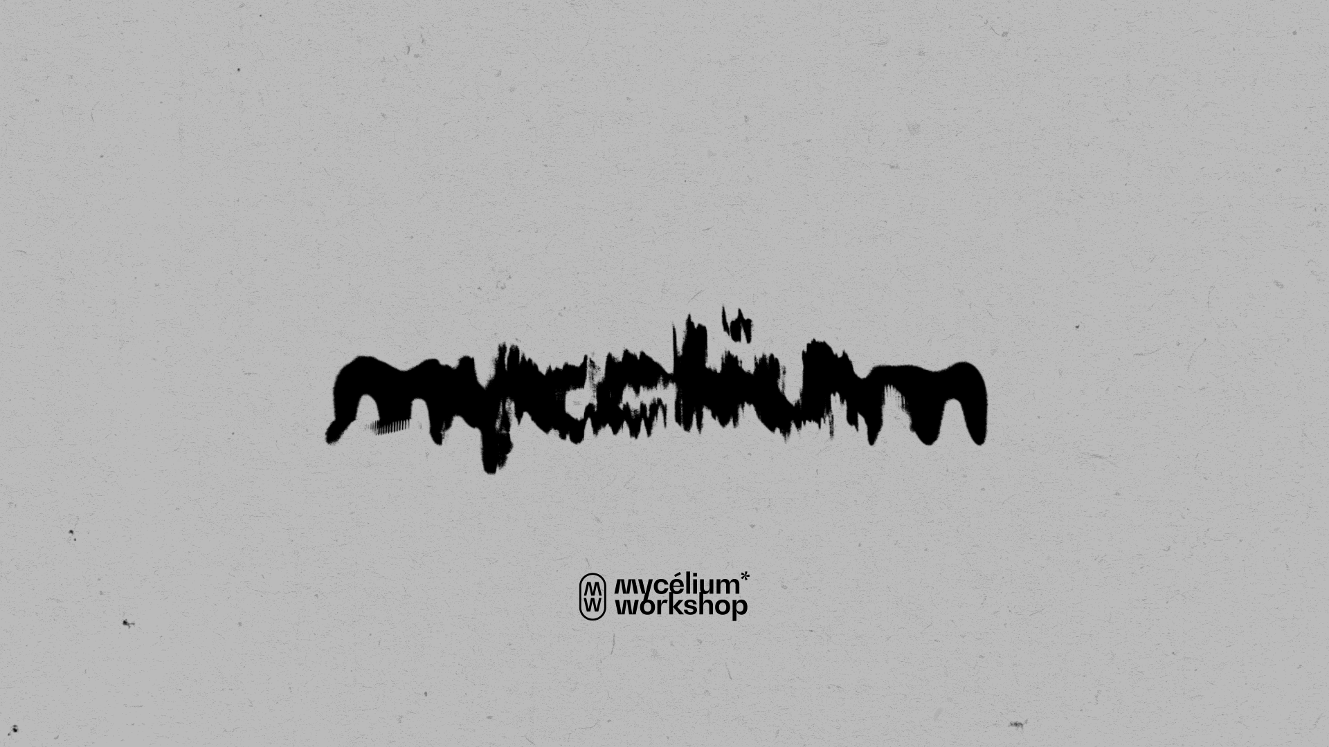 mycélium