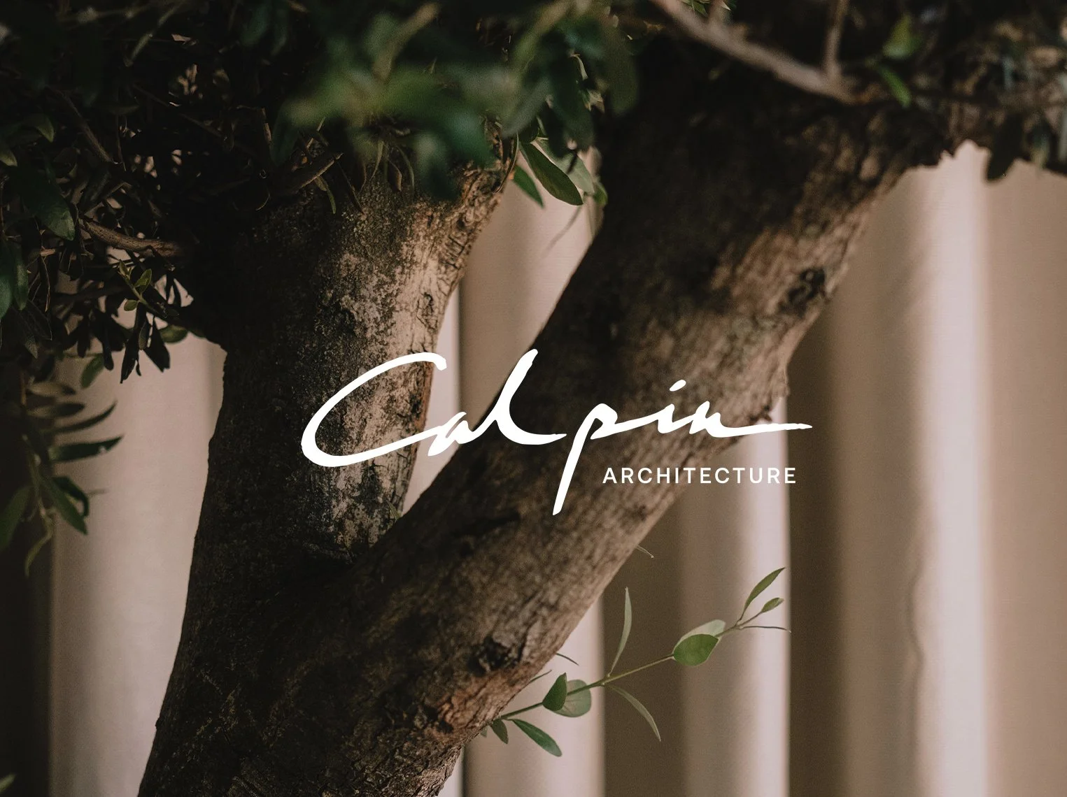 Capture d’écran 2025-07-22 à 14.41.07002.jpg