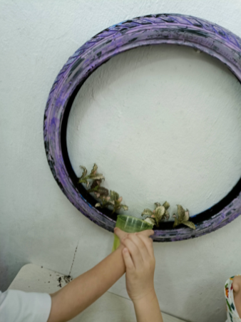 Children's hands watering plants growing in a hanging planter made from a recycled bicycle tyre.