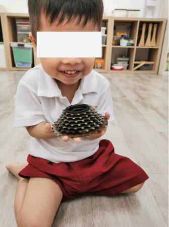 Young child carefully holding a bicycle cassette with both hands.