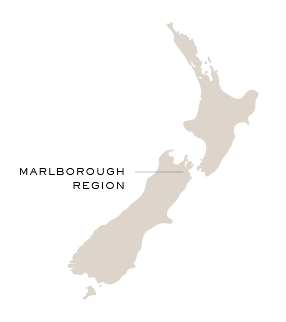 Black and beige map of New Zealand.