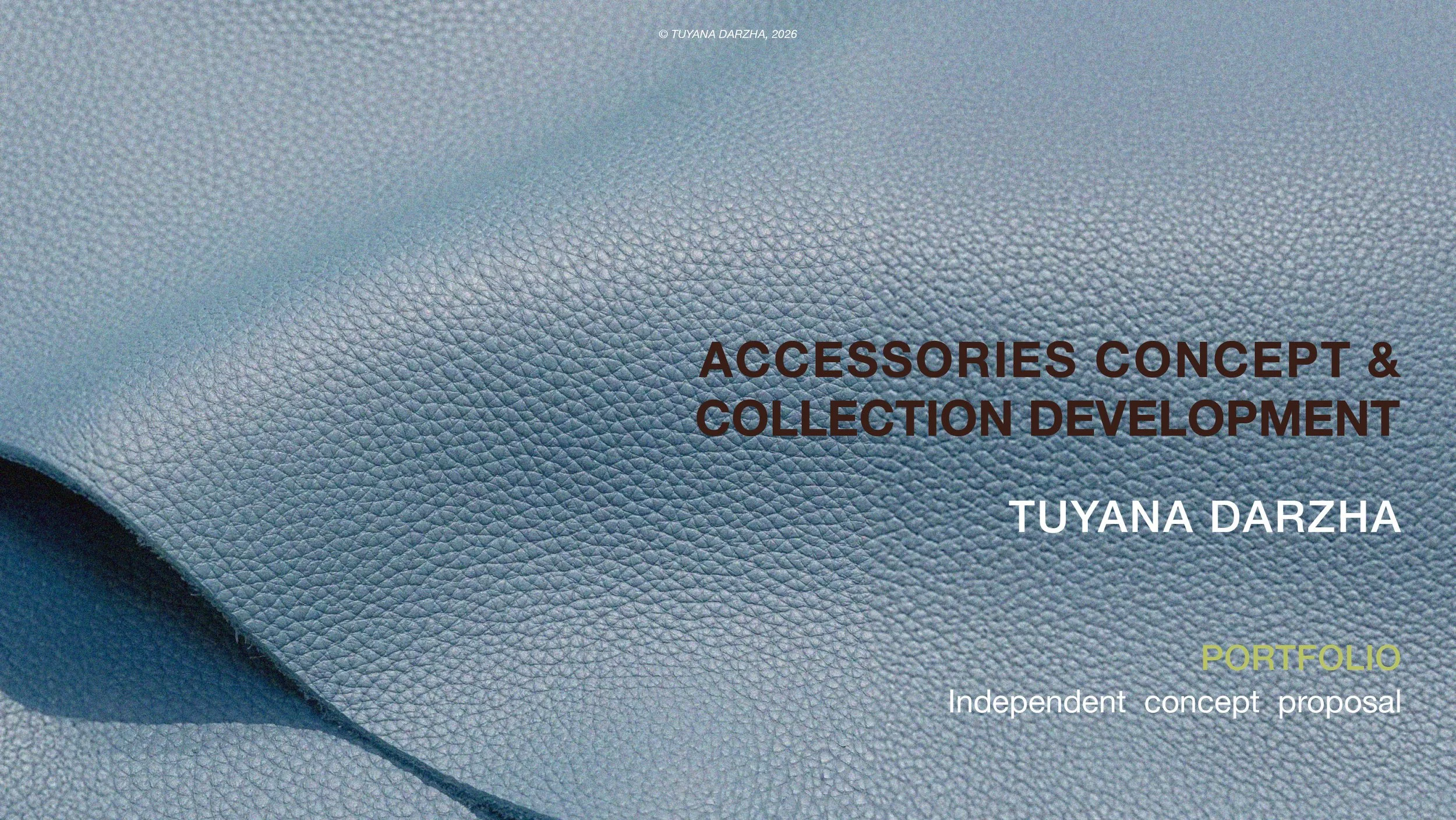 Tuyana_Darzha_Portfolio_2026.jpg