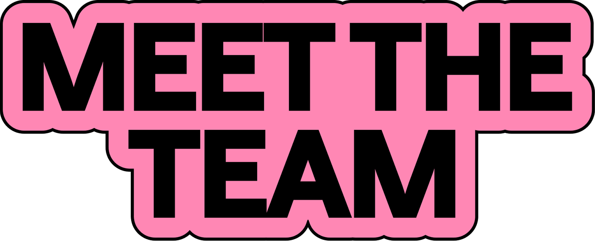 Pink speech bubble with the bold black text 'Meet the Team' inside.