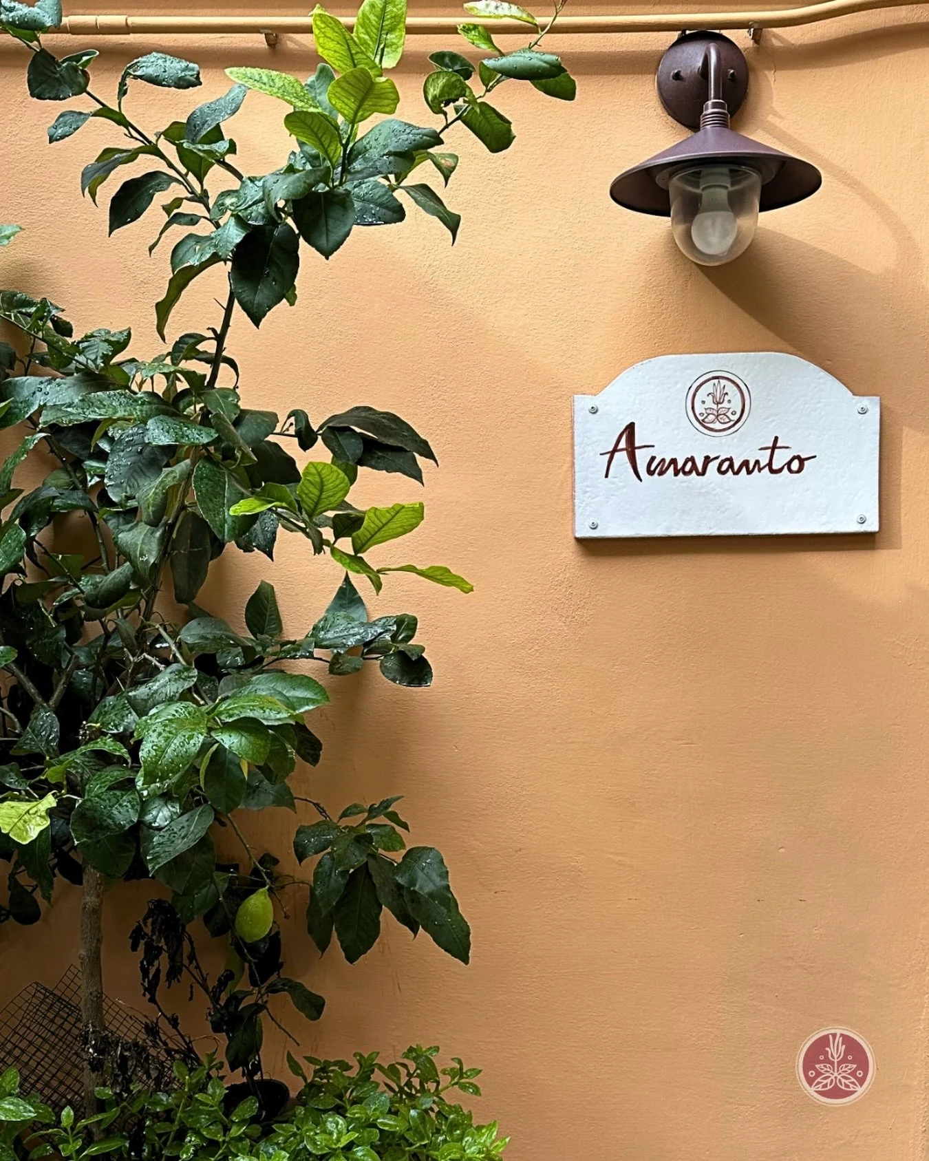 Let&rsquo;s not rush things: let&rsquo;s enjoy the cloudy days too 🌥️
After all, the sun will shine again soon, right?

#amarantorome at 
#villagrazioli 

☎+39 06 8416587
📧amaranto@villagrazioli.it
🌐www.villagrazioli.it