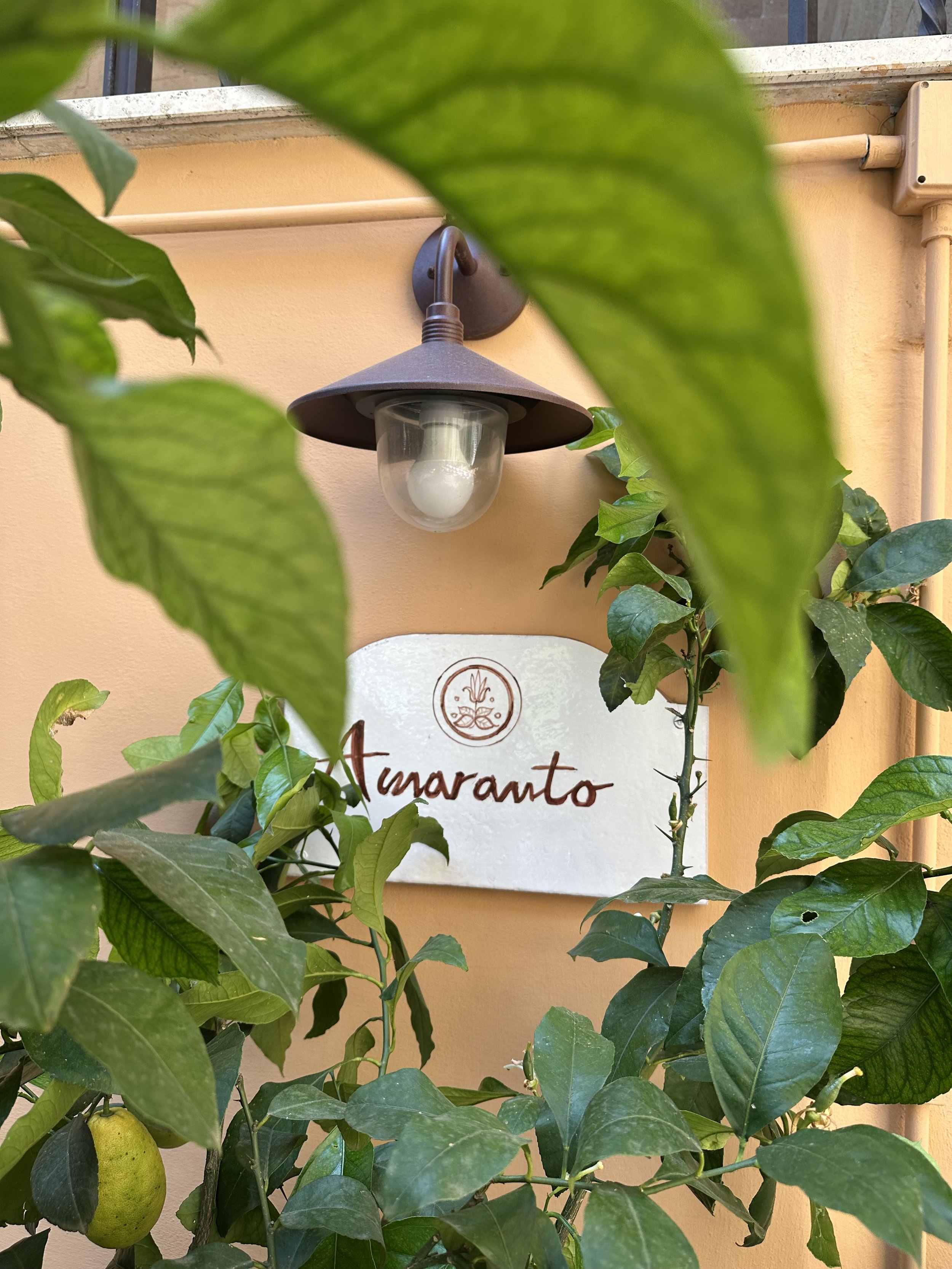 Lampada da esterno circondata da foglie verdi e un albero di limoni con frutti maturi, sfondo di parete color pesca con targa Amaranto