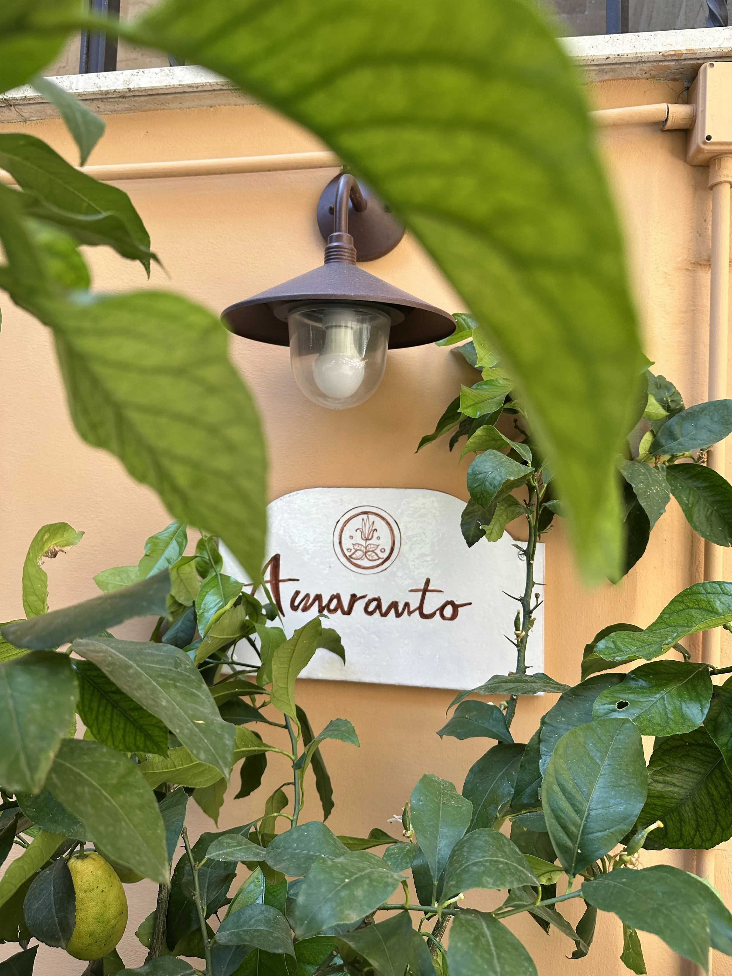 Amaranto Bar cocktail and bites Roma Parioli