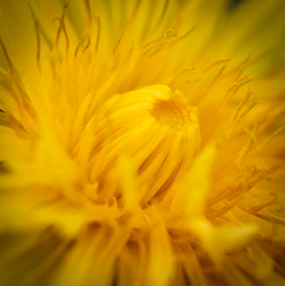 Being your whole self