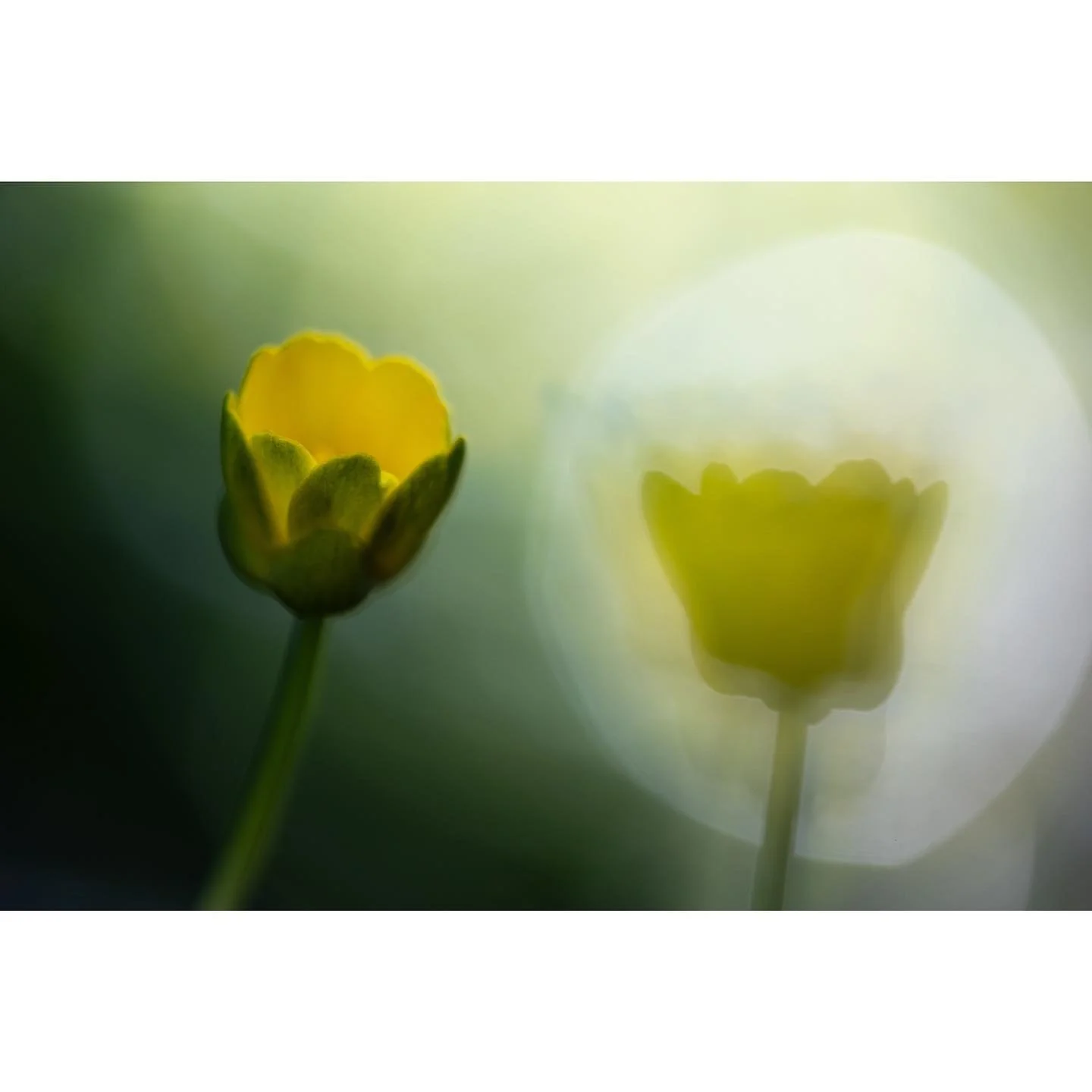 Mirror, mirror on the wall&hellip;

#reflection #creativephotography #bokeh