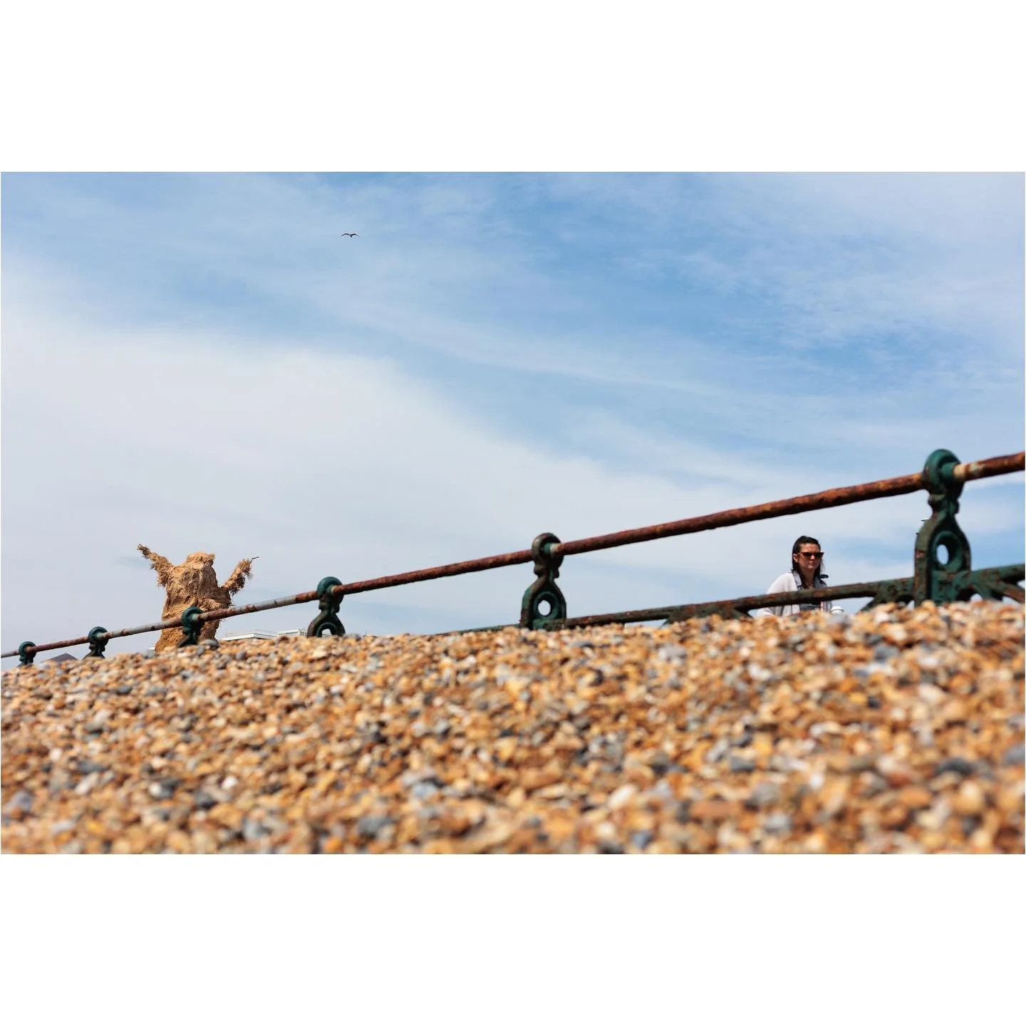 &ldquo;It&rsquo;s behind you!&rdquo;

Enjoyed popping down to the seafront last week to see the Soft Machines exhibition which is part of @brightonfestival this year. The sculptures are by artist @morison_studio and really worth a visit. I found them