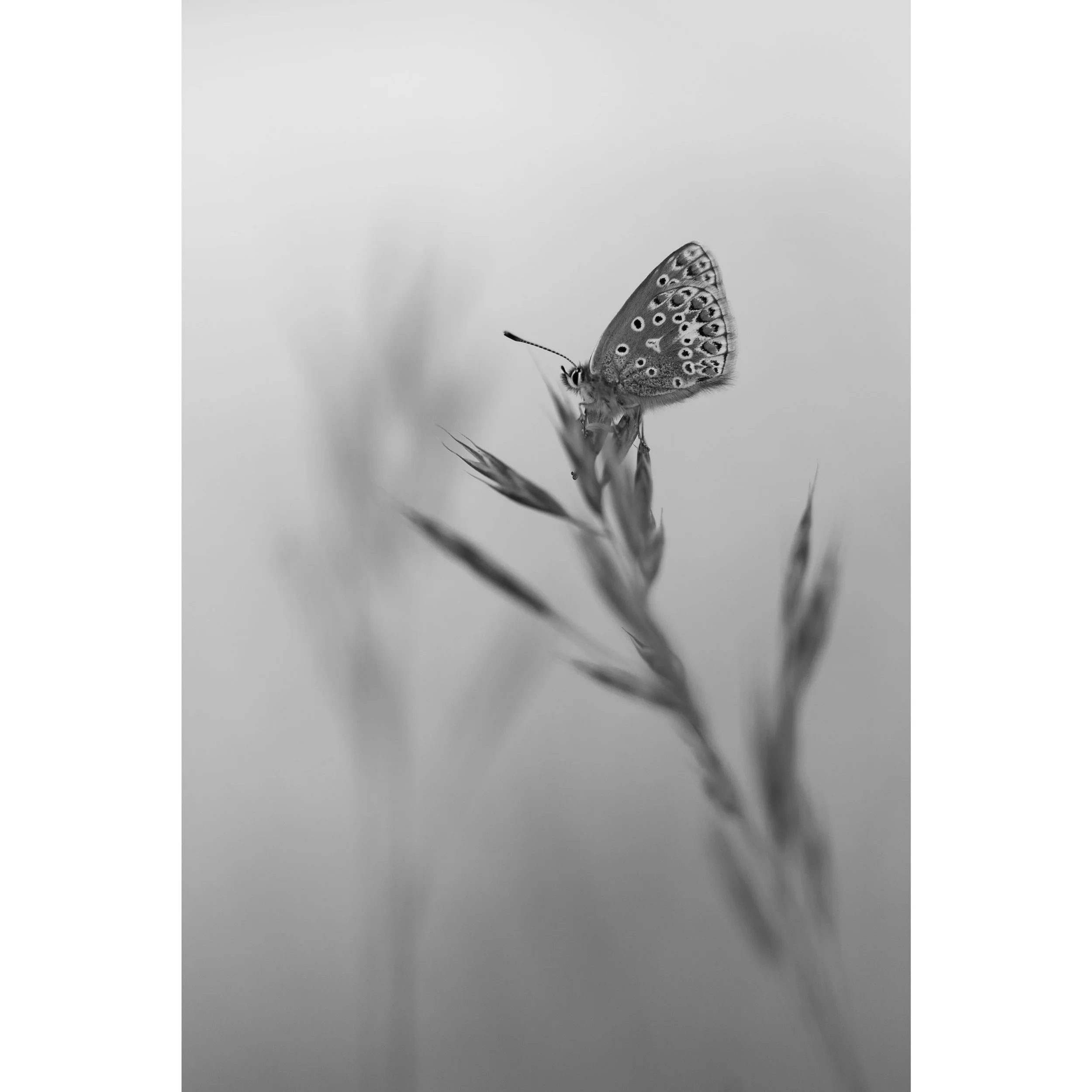 I&rsquo;m slowly becoming more intrigued by the way that black and white images reveal form. There&rsquo;s an emotional tone too, to a black and white image, that I am appreciating more and more. So brace yourselves for the occasional black and white