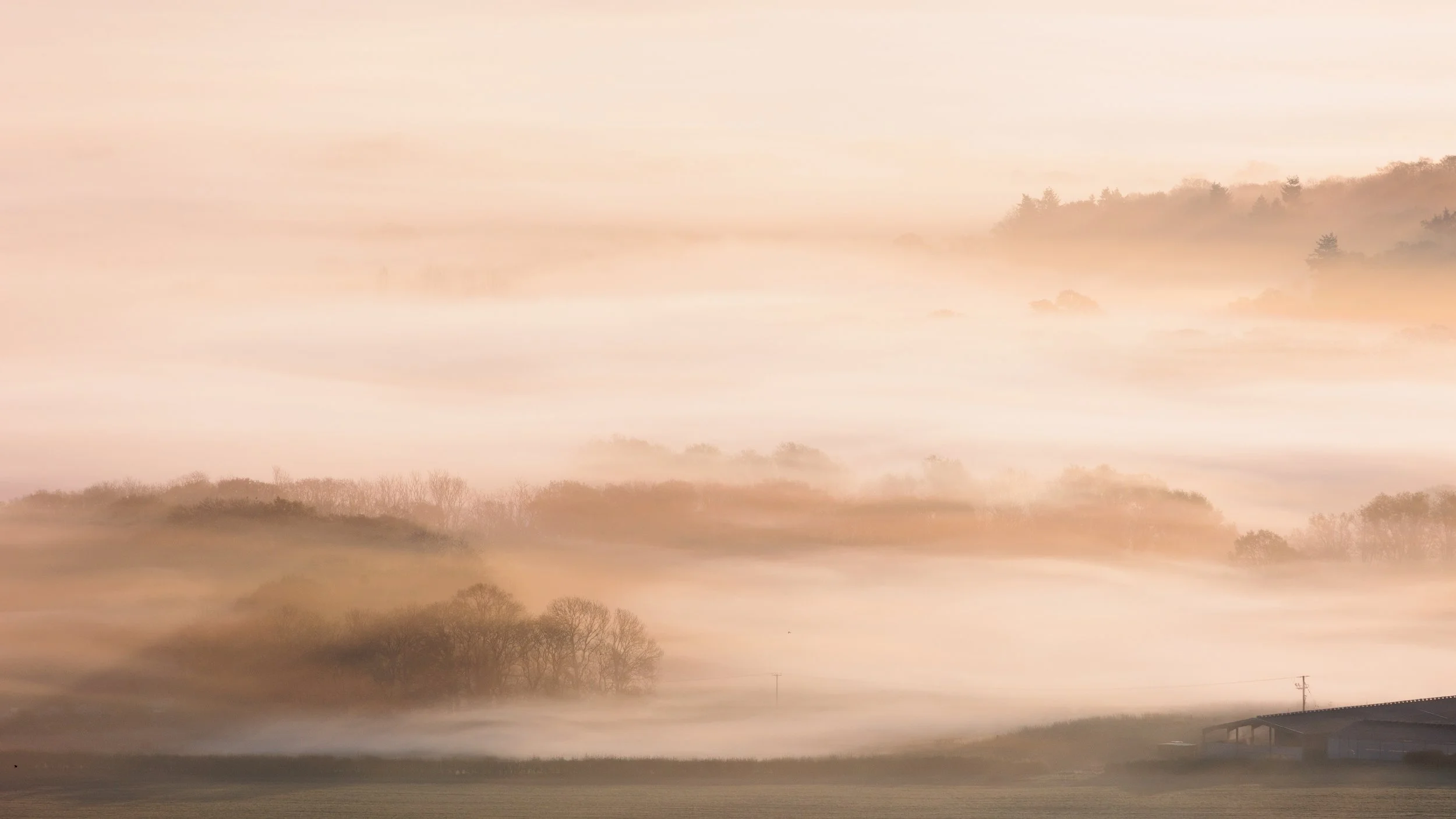 Early morning fog over the rolling hills and trees of the South Downs, with a farm building and utility poles in the foreground.