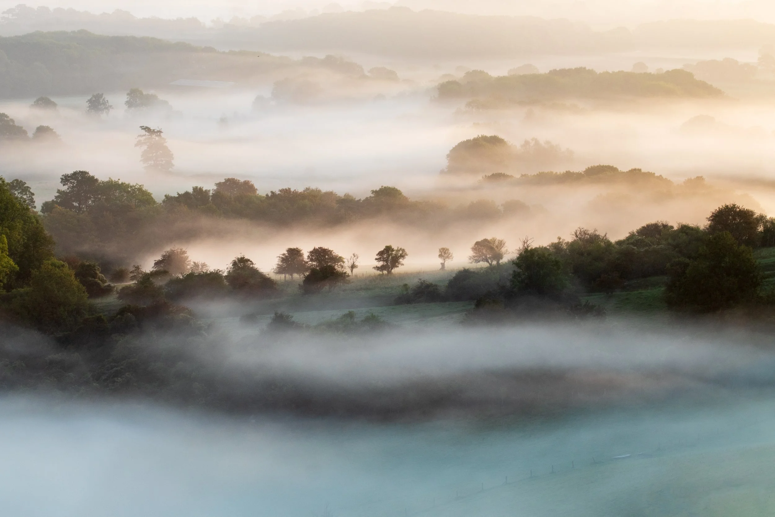 Morning fog over rolling hills and scattered trees in the Sussex landscape.