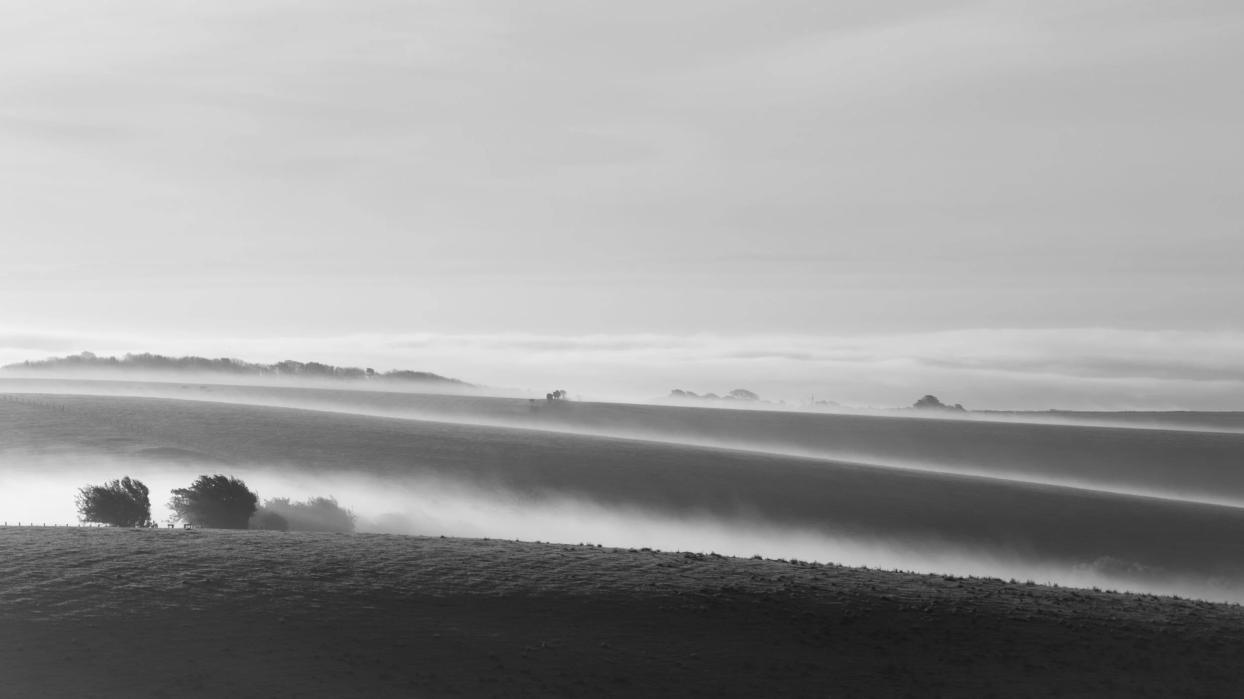 A black and white landscape photo of rolling hills of the South Downs with fog and trees in the distance.