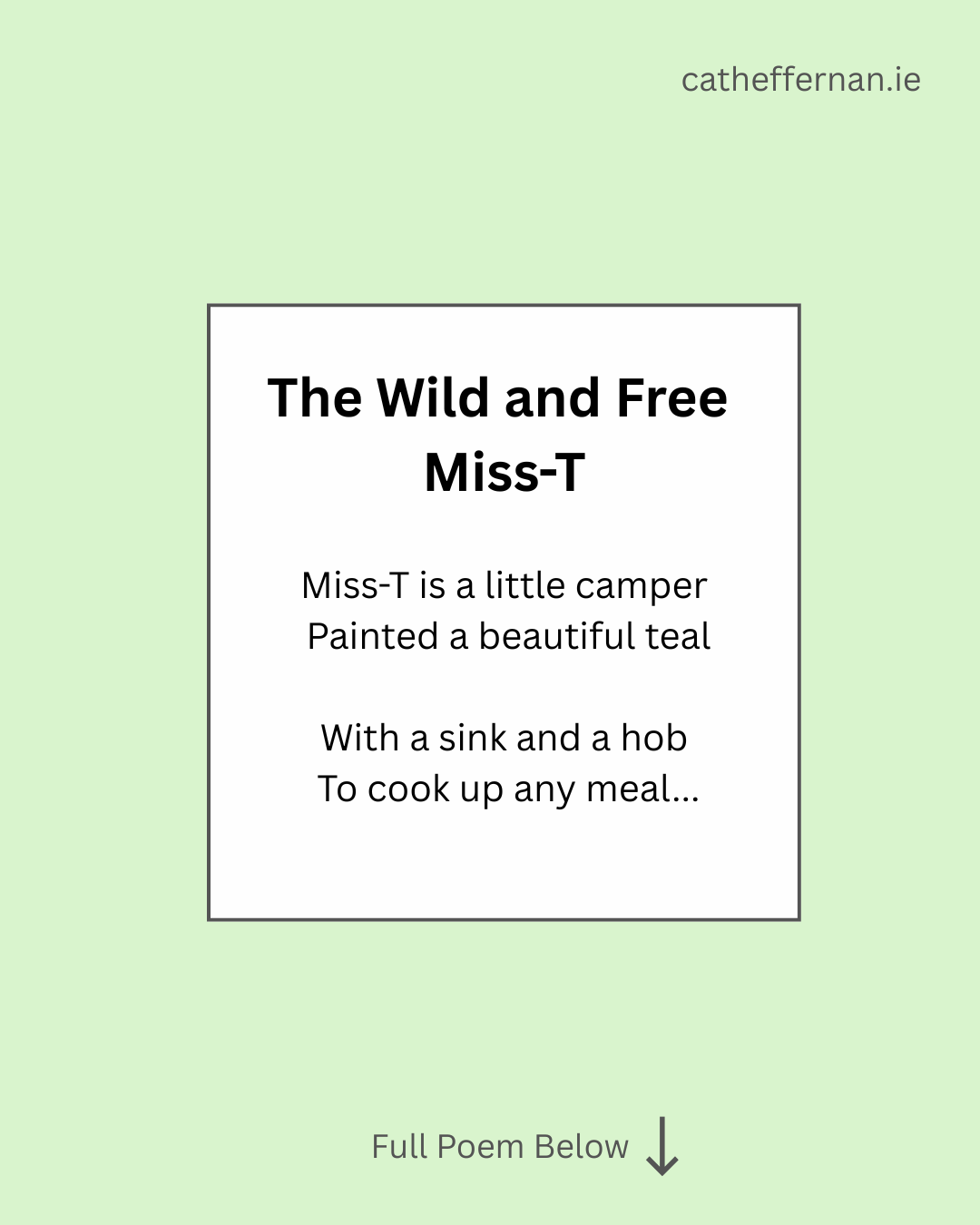 The Wild and Free Miss-T