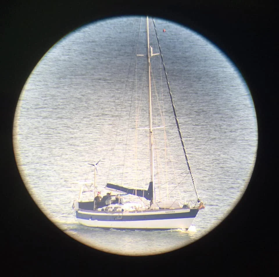 Kadoona spotted in the harbour.jpg