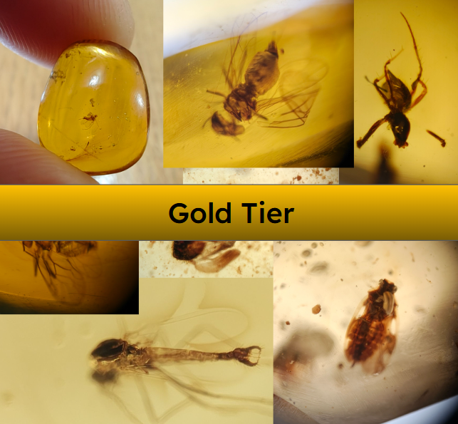 Gold Amber Subscription – Uncommon Inclusions