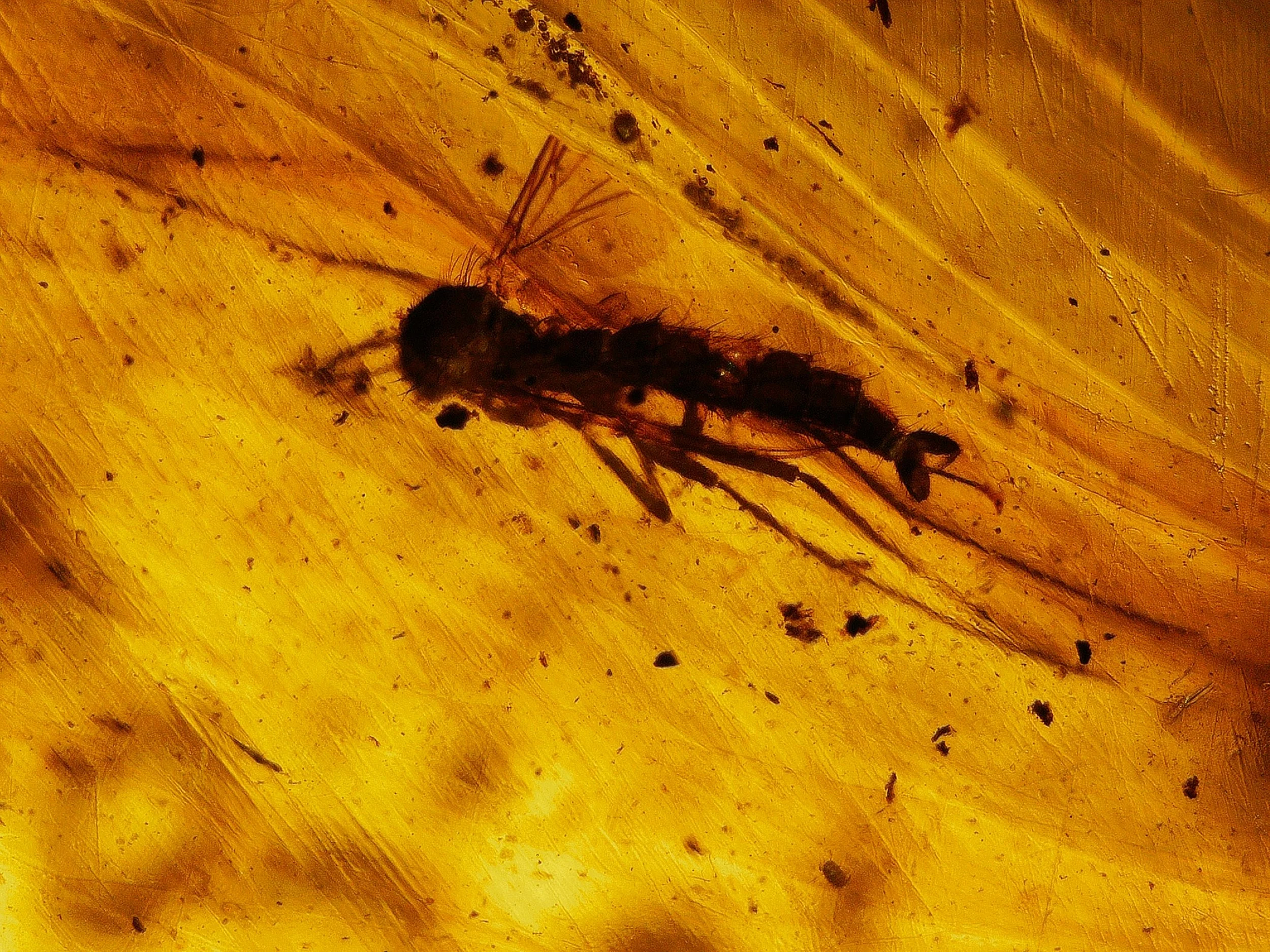 2026_0404_100545_244.JPG