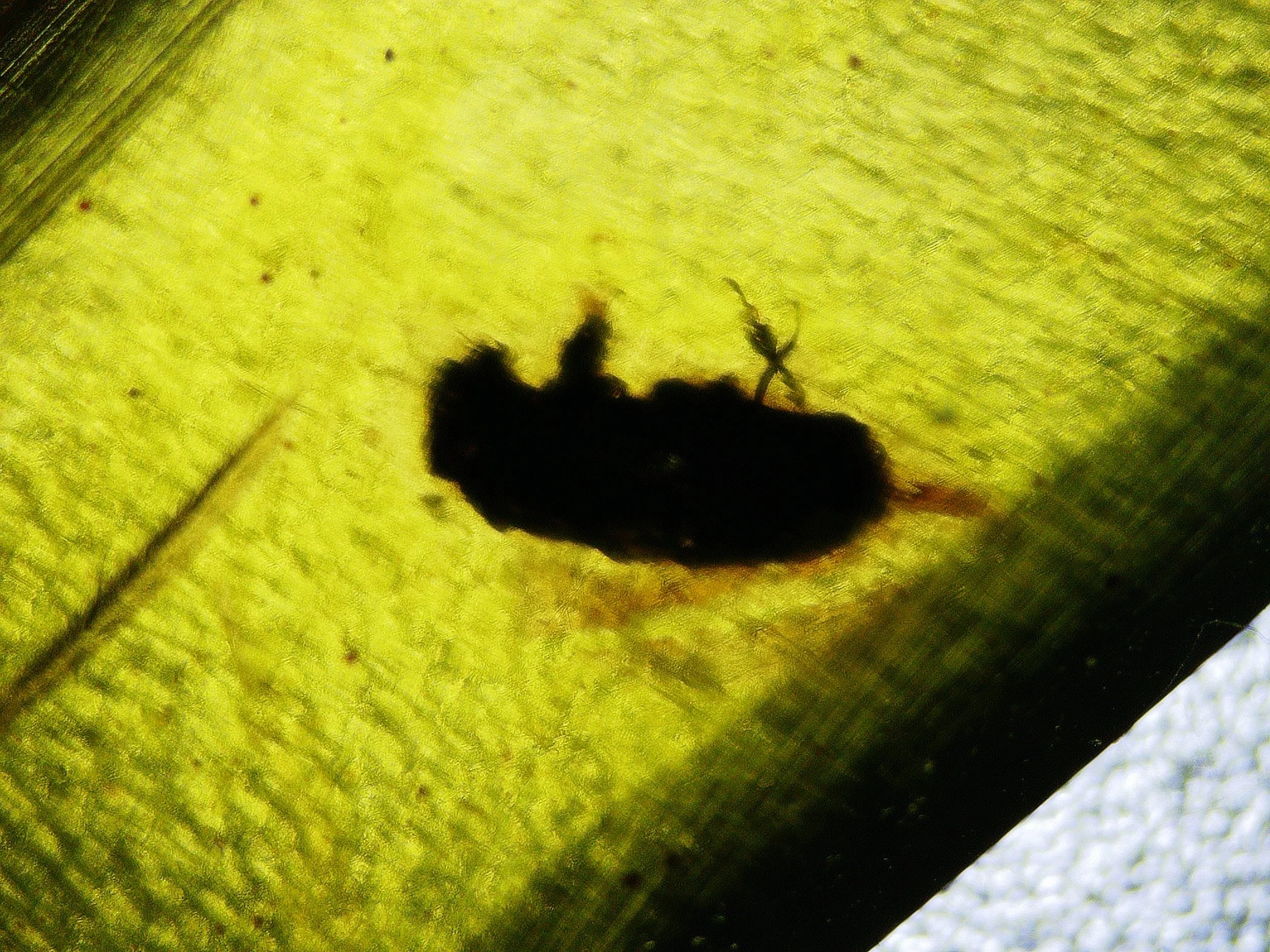 2026_0404_120933_255.JPG