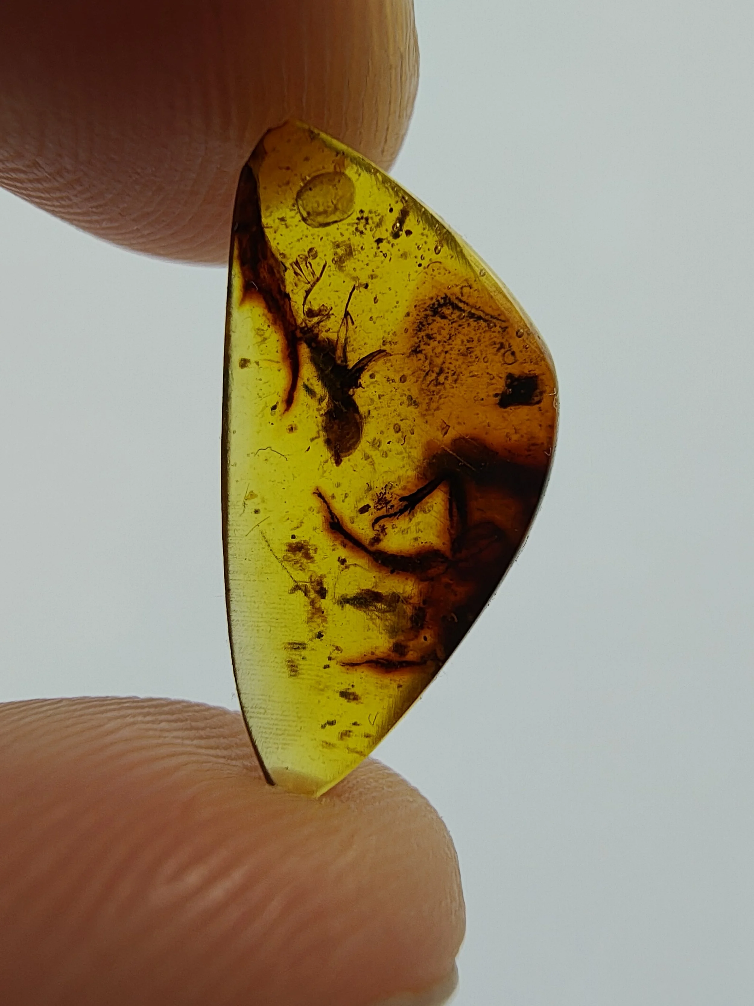 Amber with insects #020 • Multi Insect Inclusions In Burmese Amber