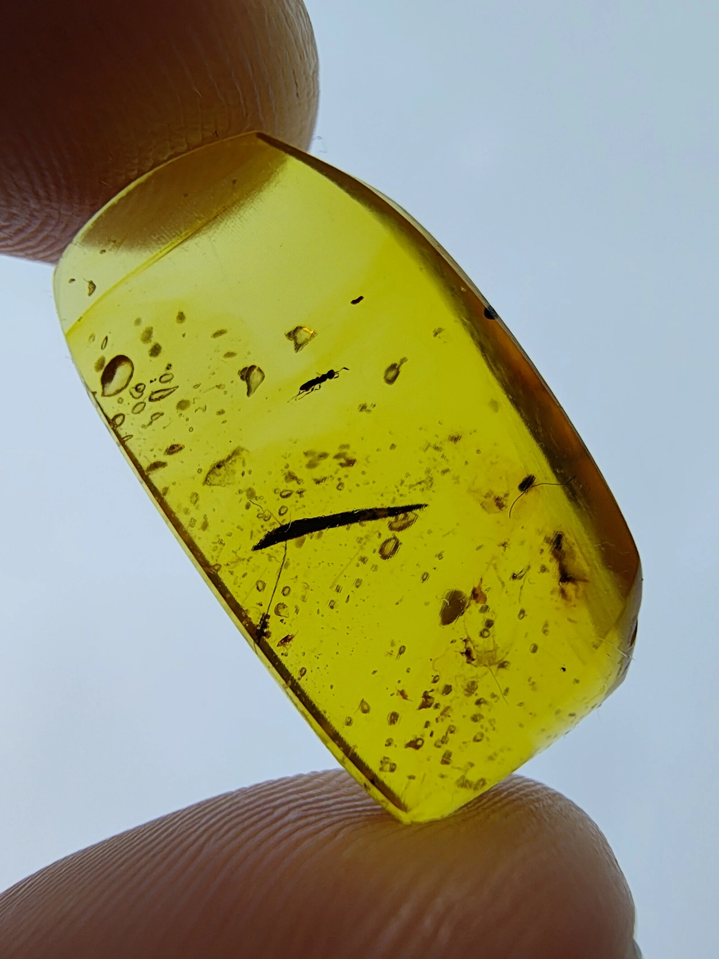 IMG_20260404_100142336_HDR.jpg