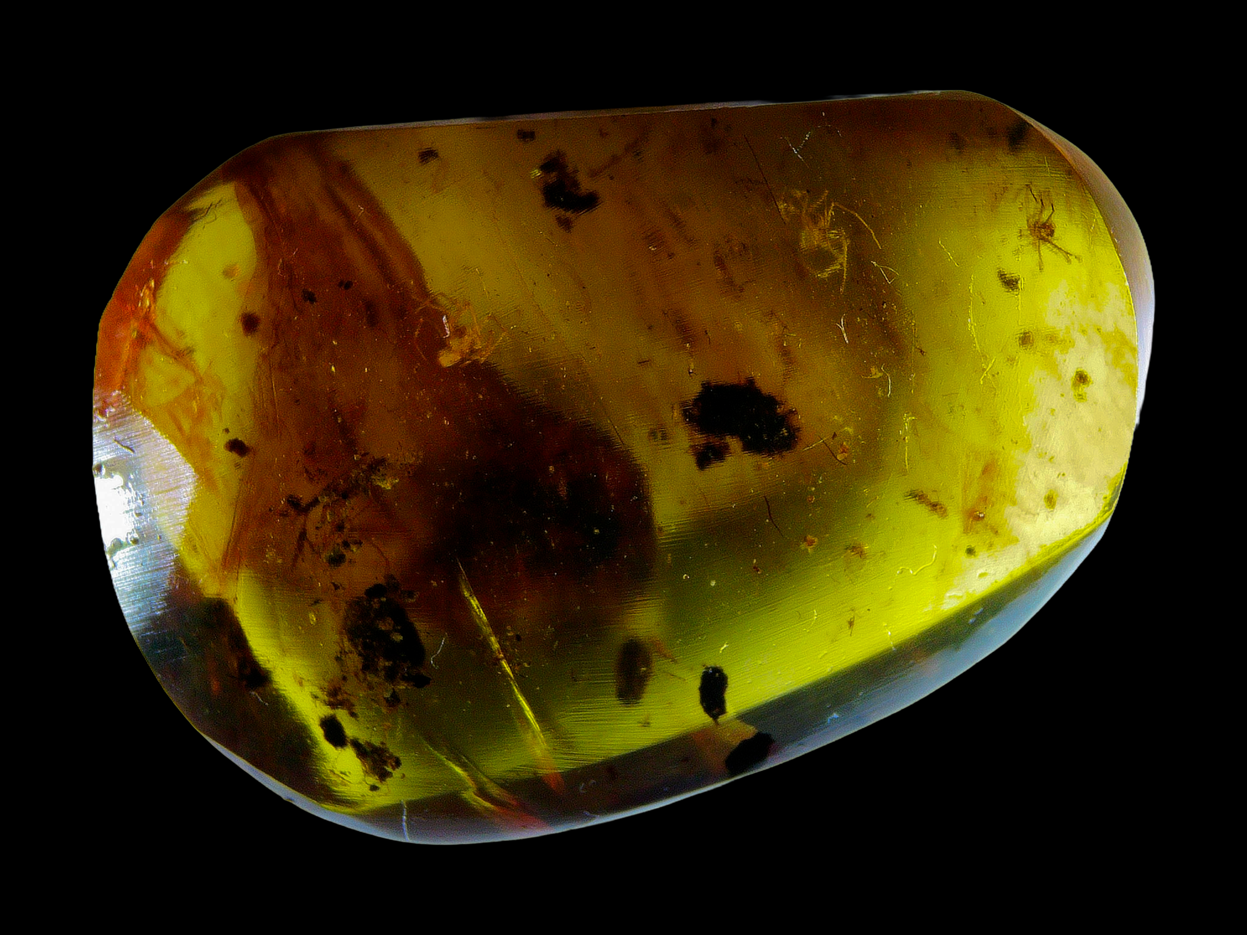 Amber with Multi Arachnid Inclusions #013 • Multiple Spiders in Burmese Amber