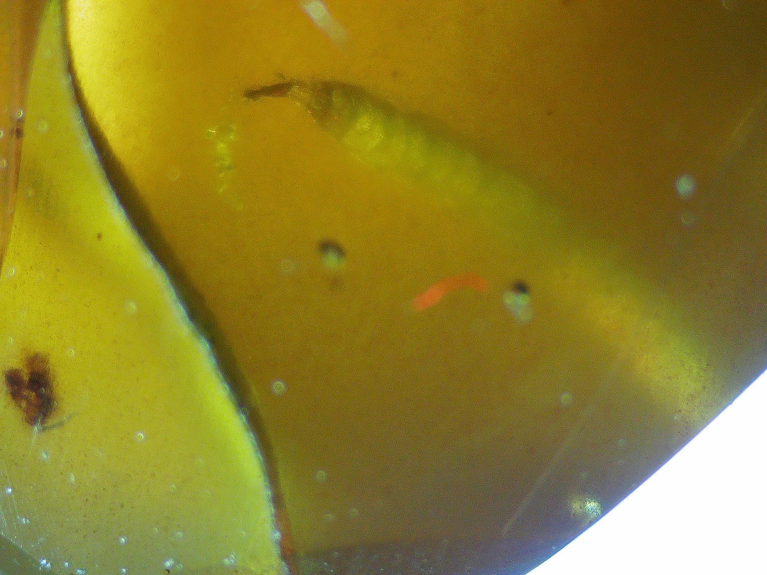 2026_0404_100906_252.JPG
