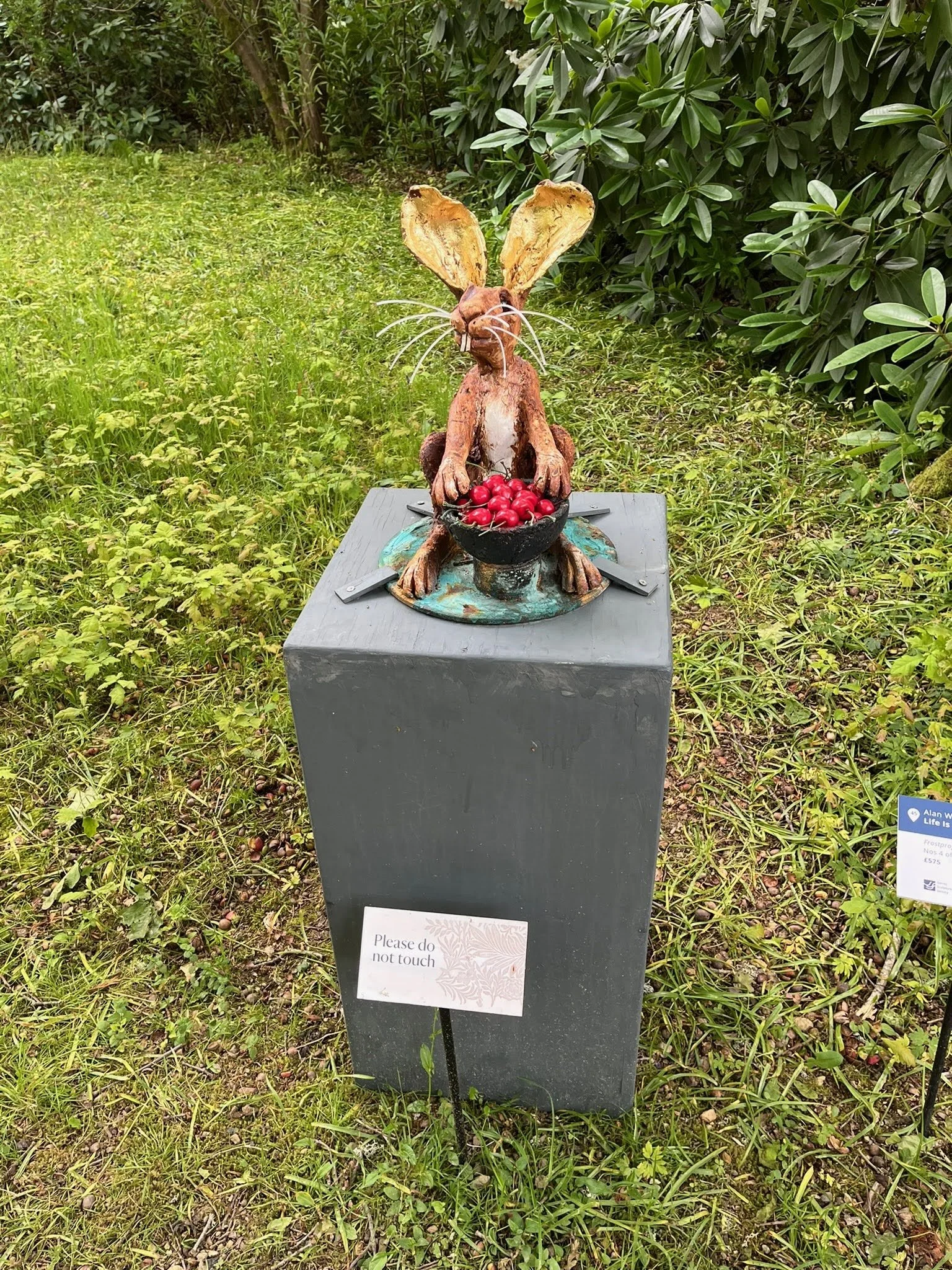 Pic 6.JPG